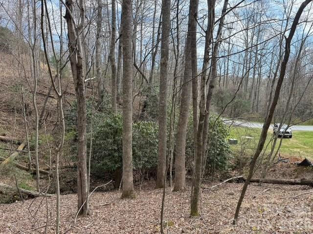 158 Chattooga Run #402 - Photo 9