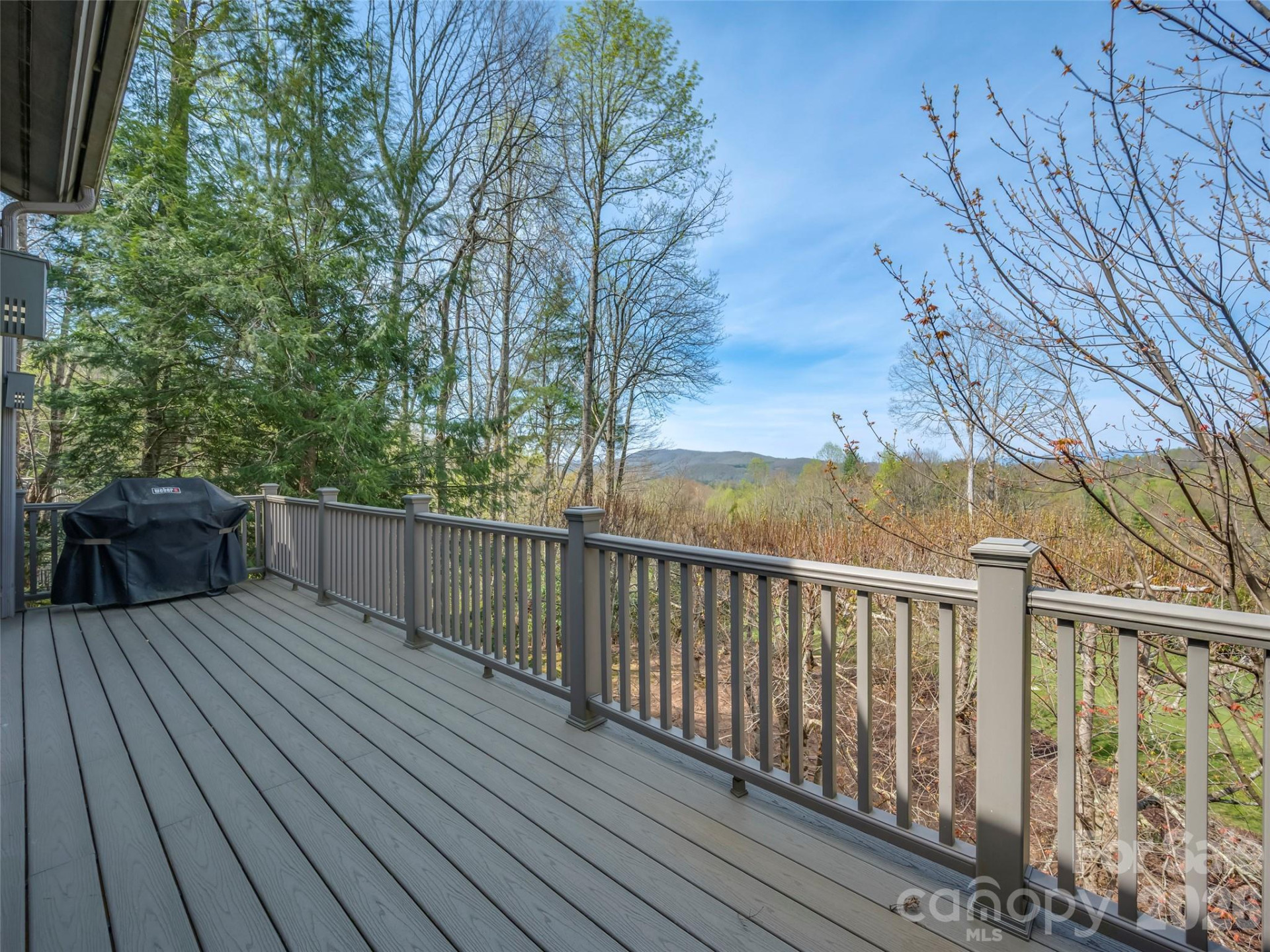 4 Wild Ivy Run - Photo 35