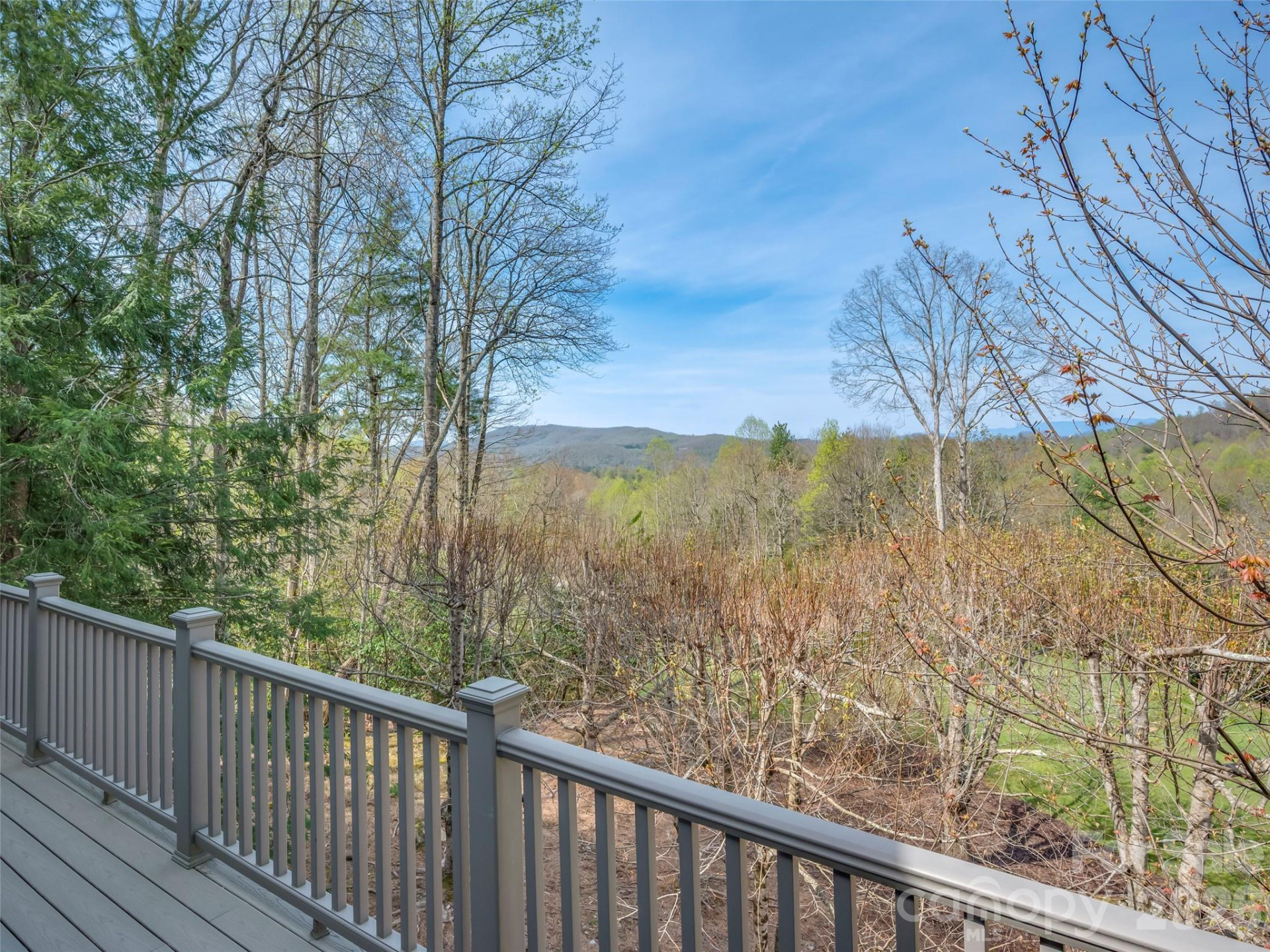 4 Wild Ivy Run - Photo 36