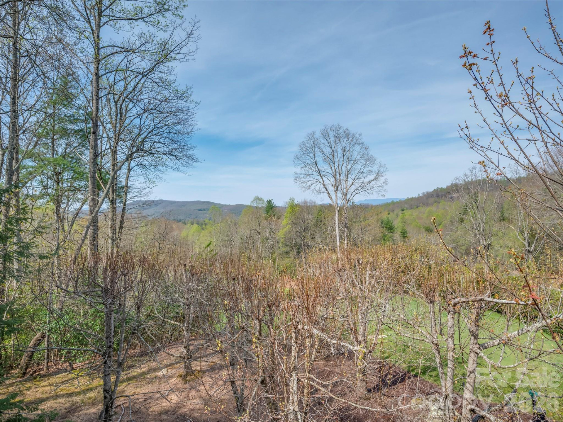 4 Wild Ivy Run - Photo 37