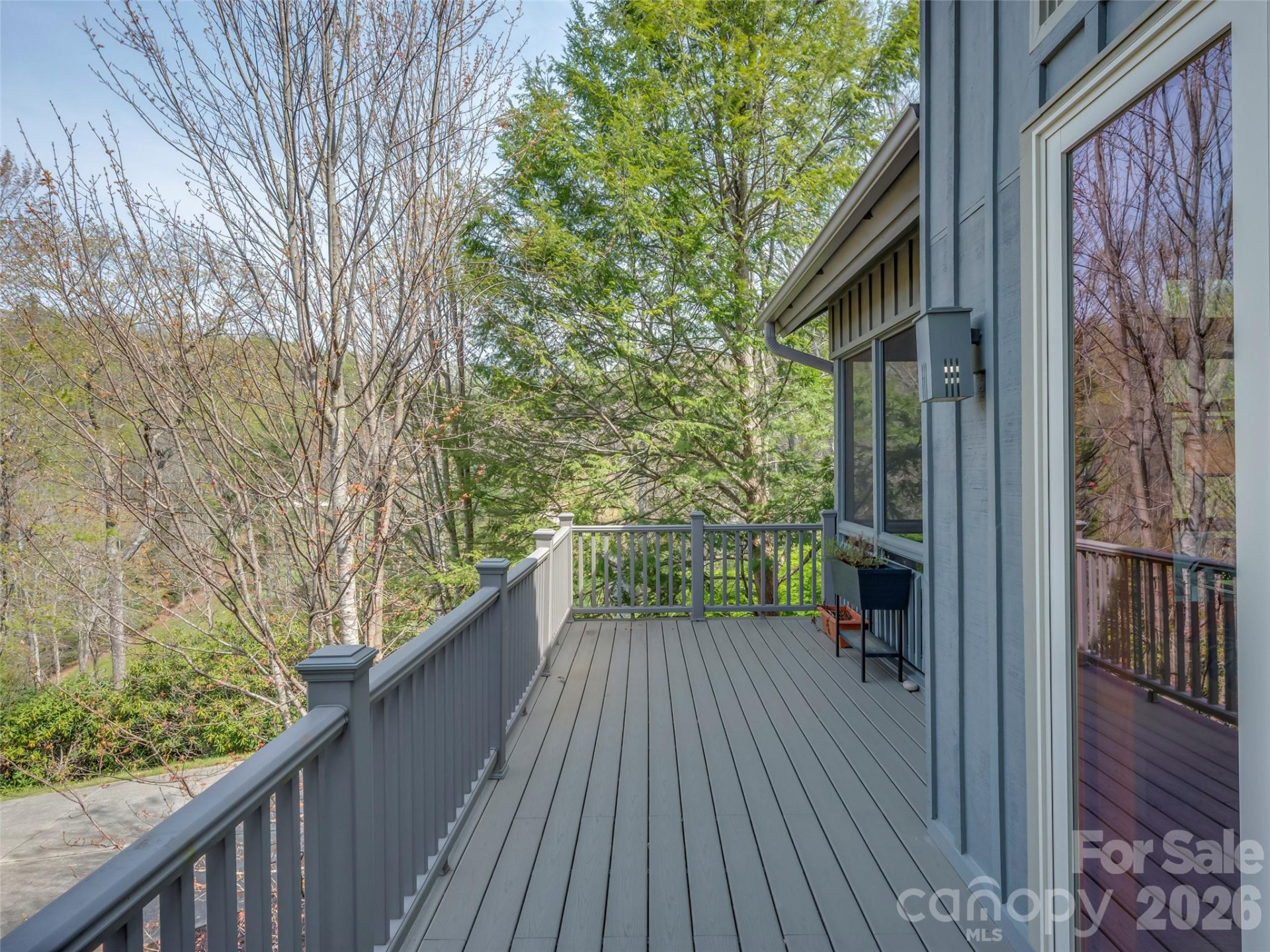 4 Wild Ivy Run - Photo 39