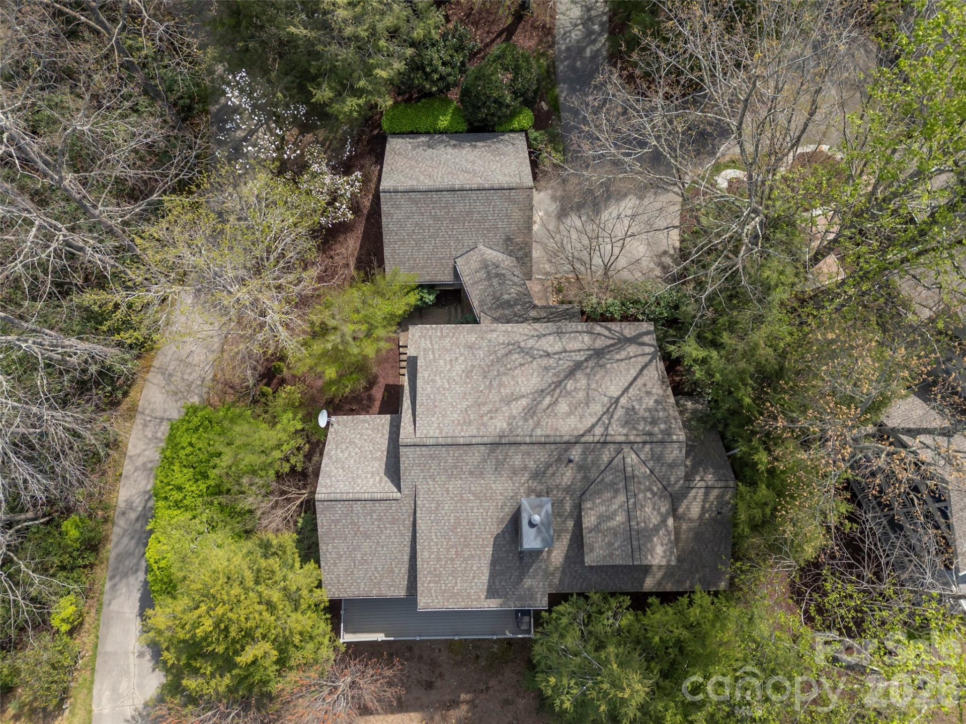 4 Wild Ivy Run - Photo 42