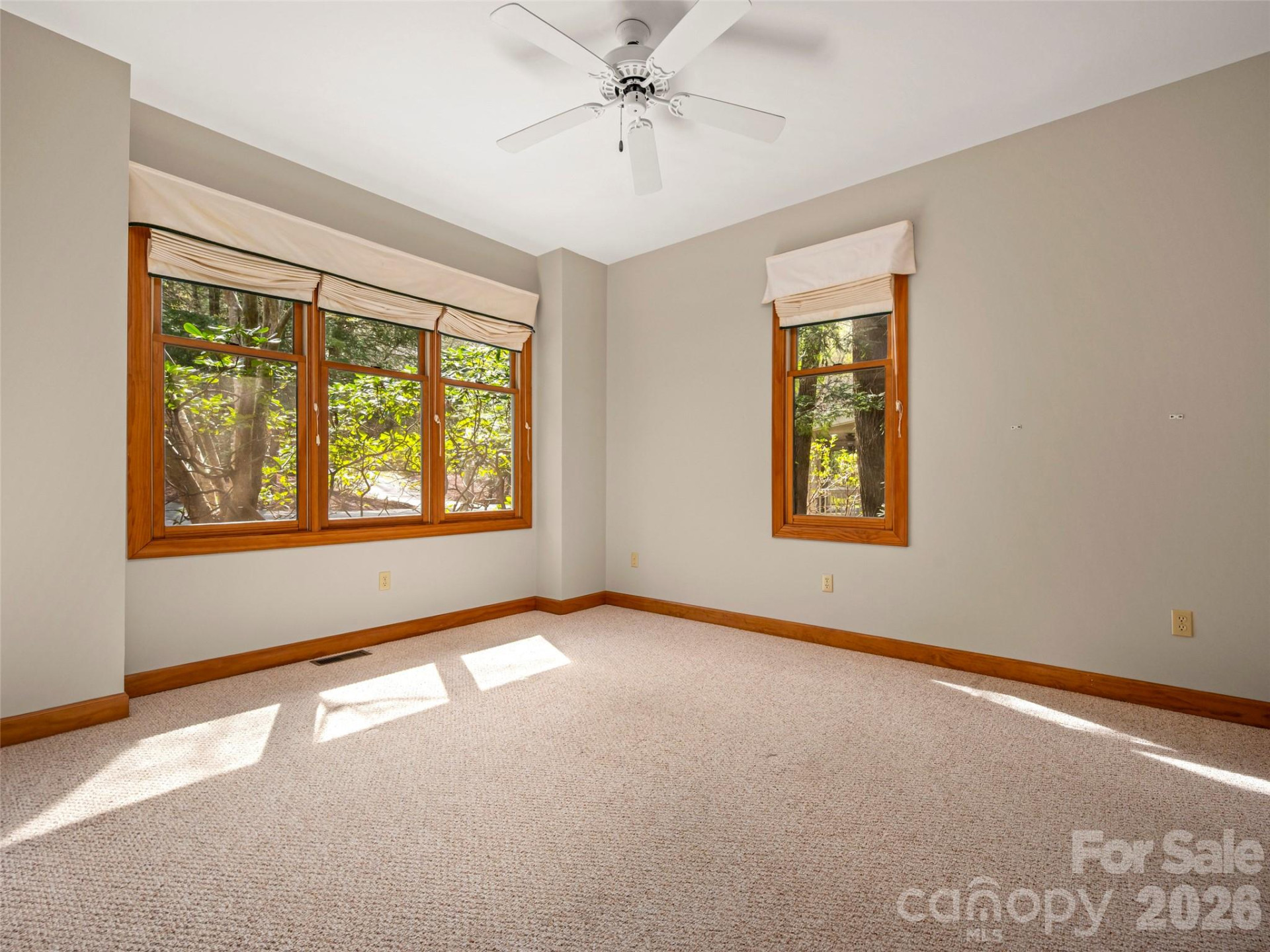 4 Wild Ivy Run - Photo 10