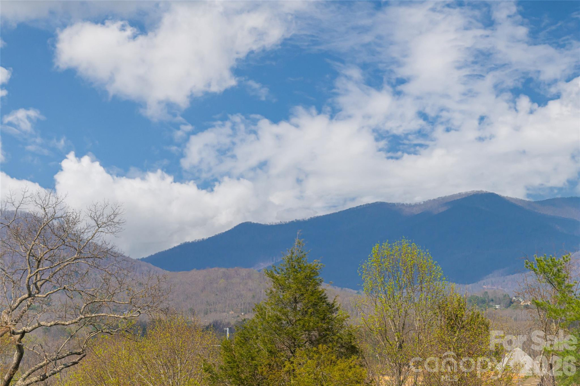 35 Alice Clement Lane - Photo 39