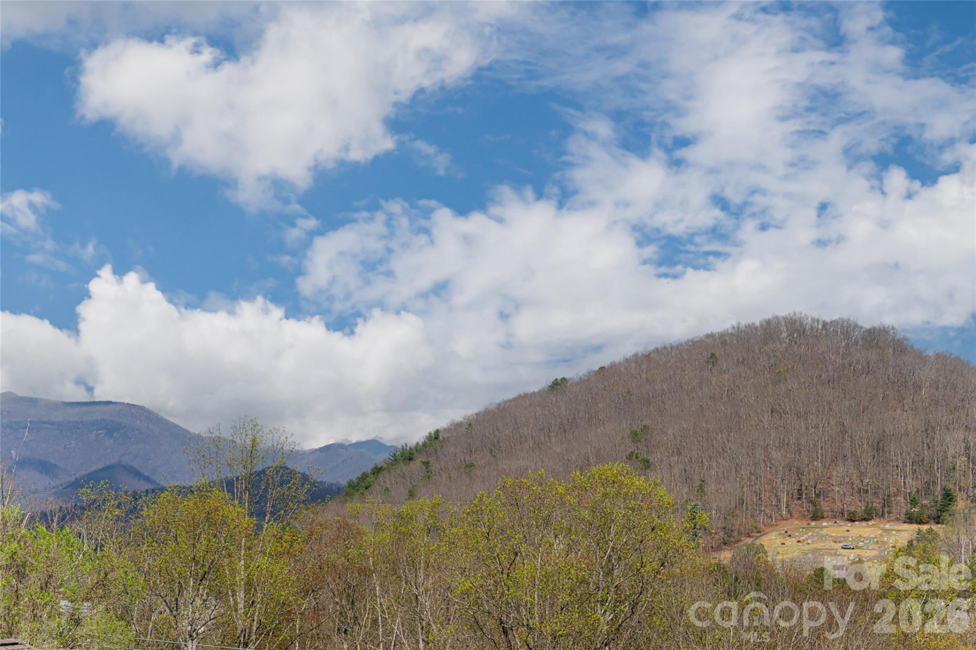 35 Alice Clement Lane - Photo 41