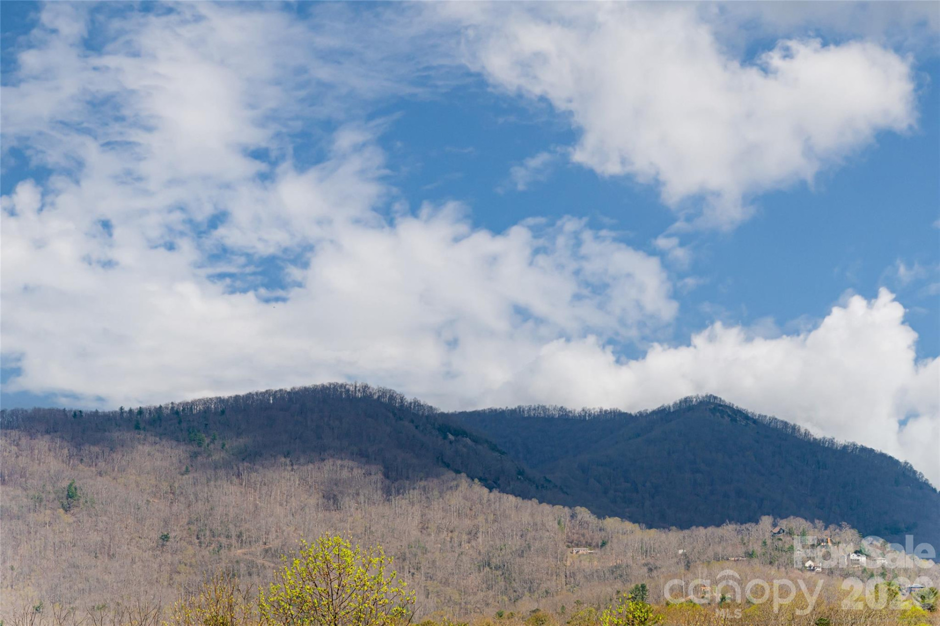 35 Alice Clement Lane - Photo 45