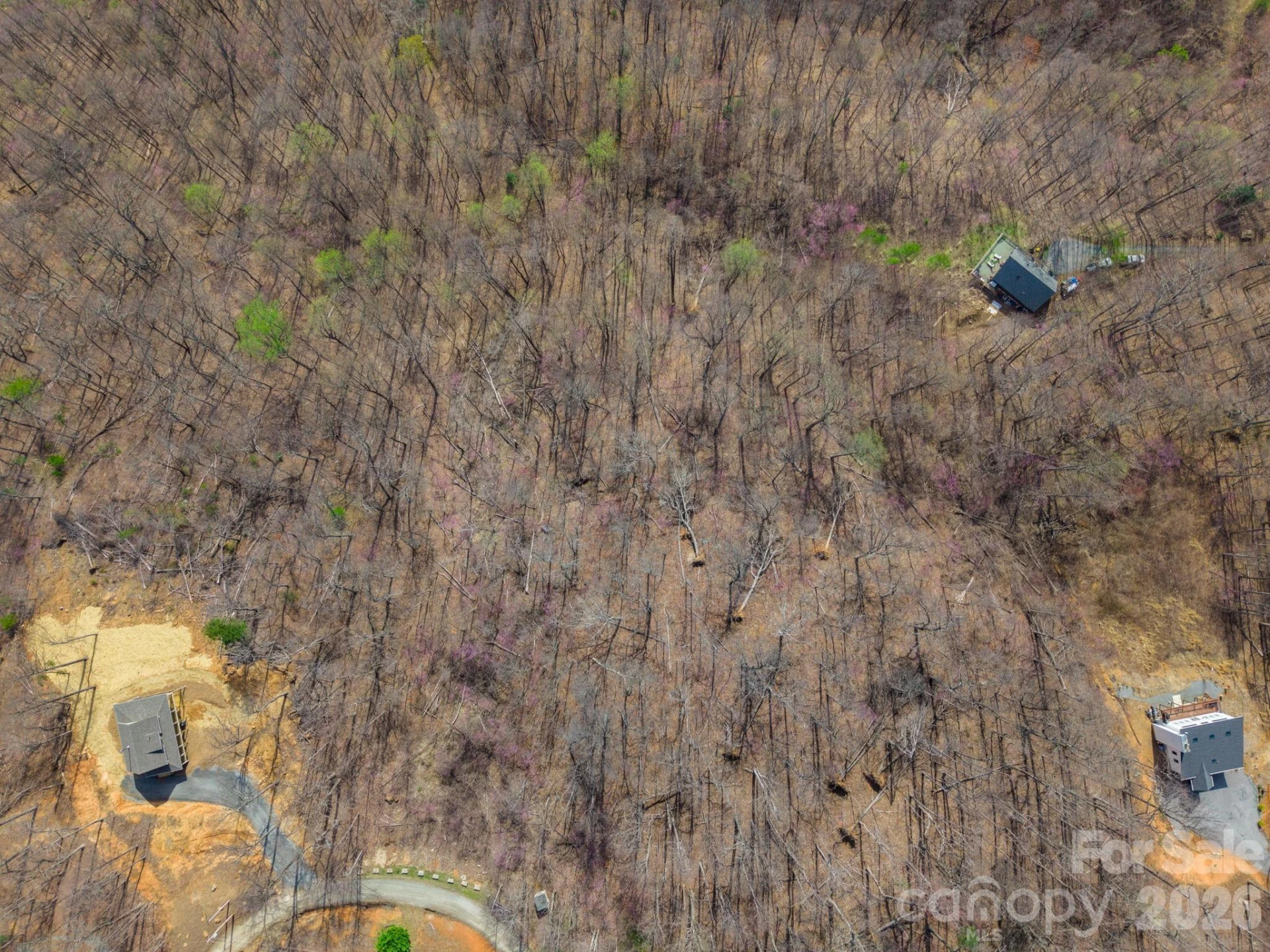 0000 Pinnacle Parkway #69 - Photo 4