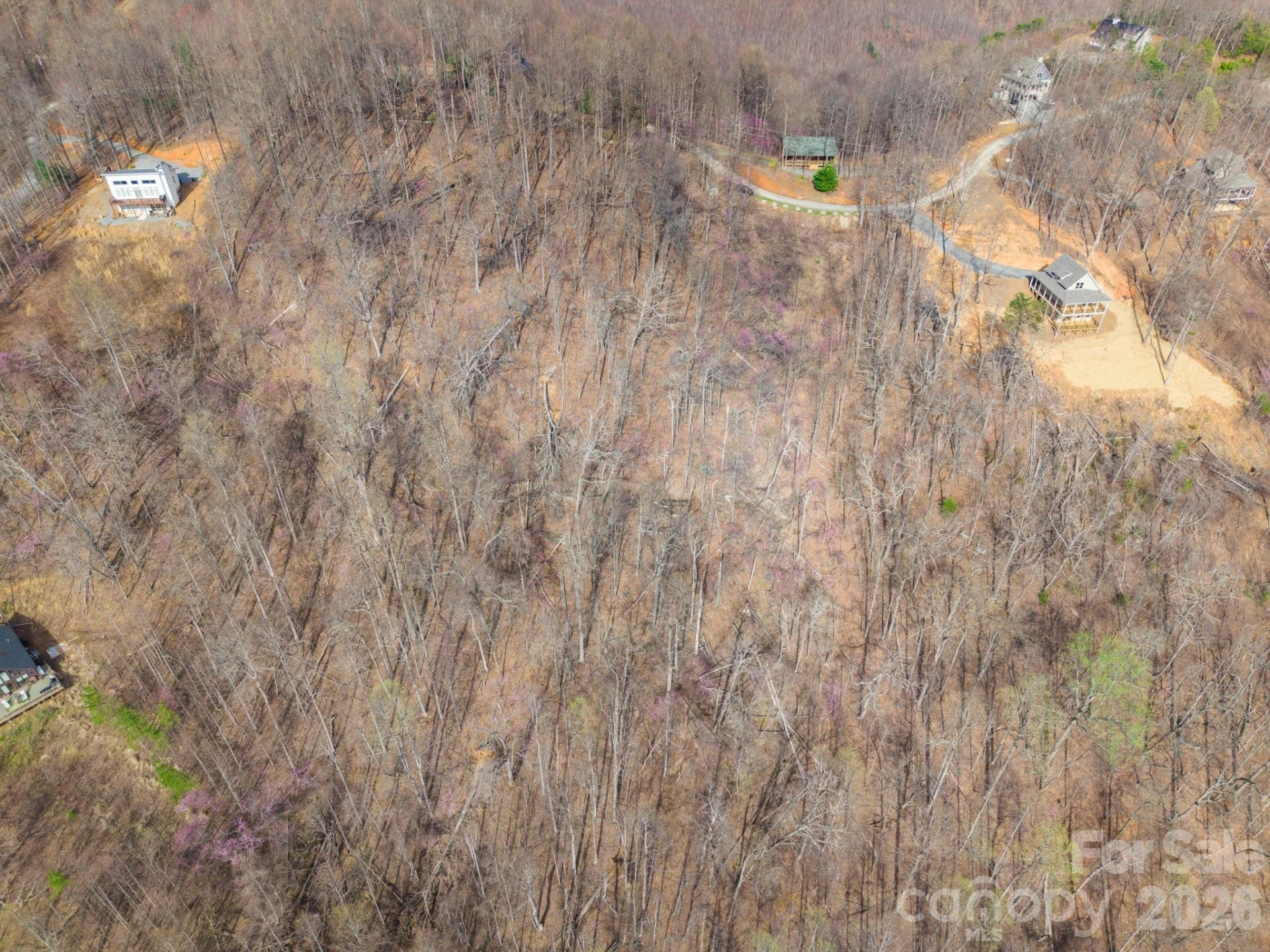 0000 Pinnacle Parkway #69 - Photo 5