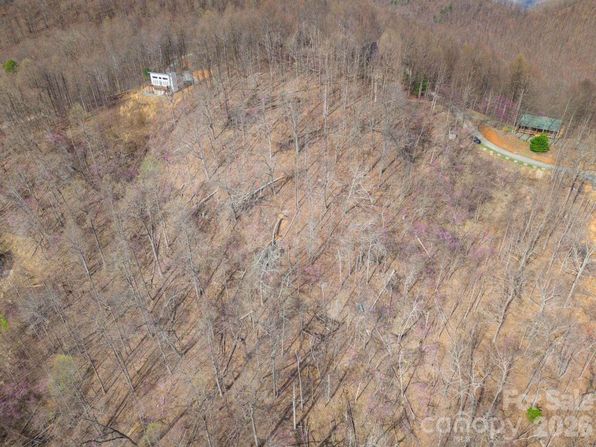 0000 Pinnacle Parkway #69 - Photo 6