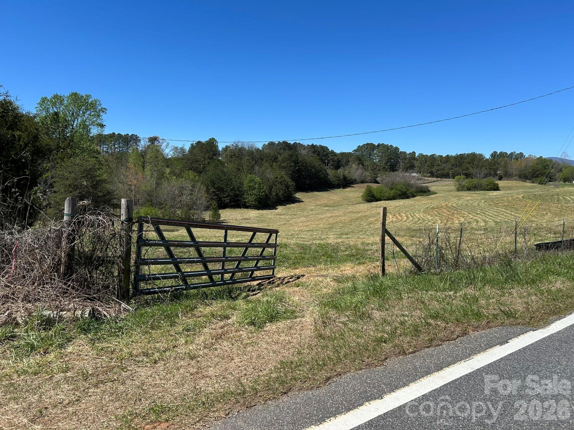 0 Pea Ridge Road - Photo 2