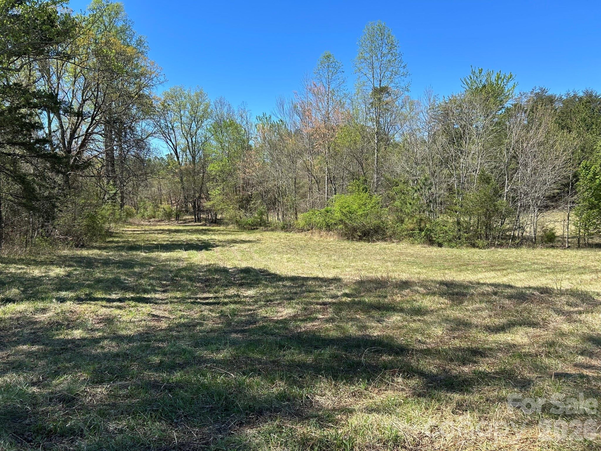 0 Pea Ridge Road - Photo 11