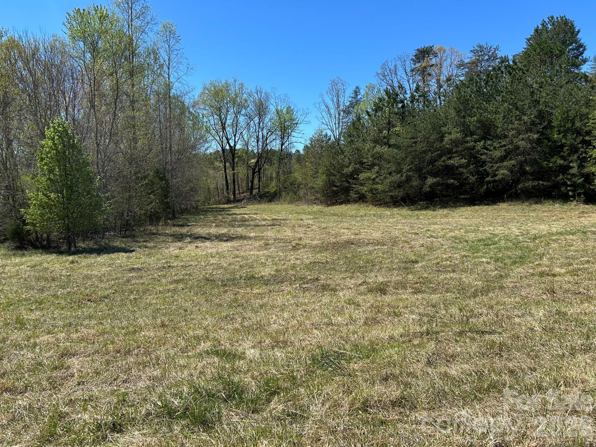 0 Pea Ridge Road - Photo 12