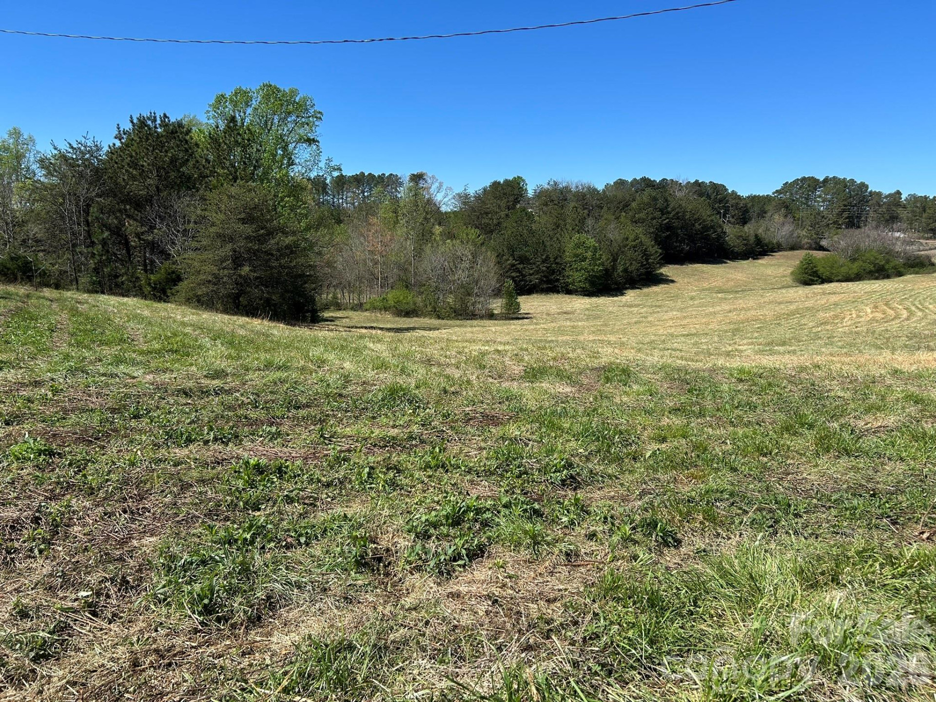 0 Pea Ridge Road - Photo 6