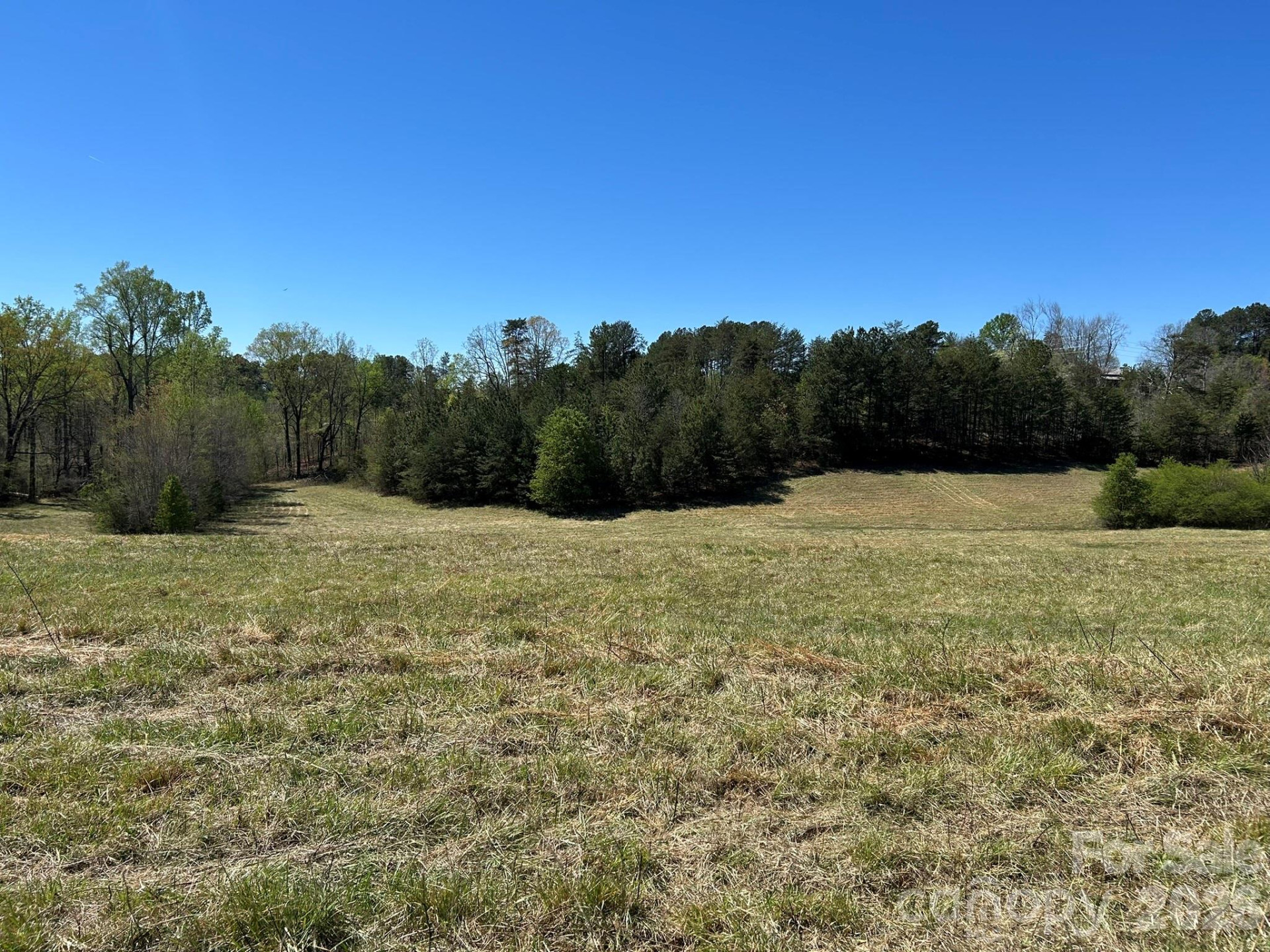 0 Pea Ridge Road - Photo 7