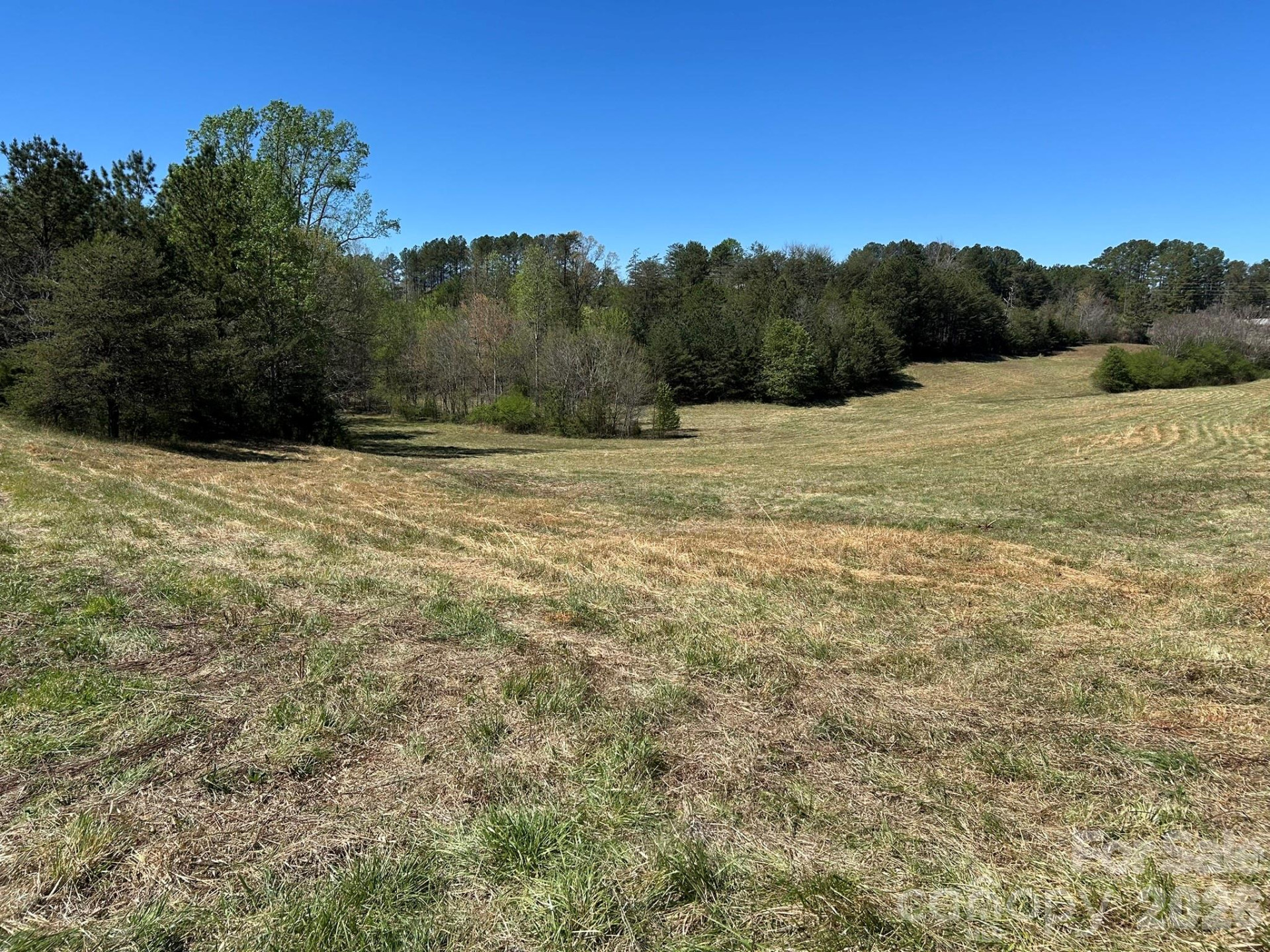 0 Pea Ridge Road - Photo 8