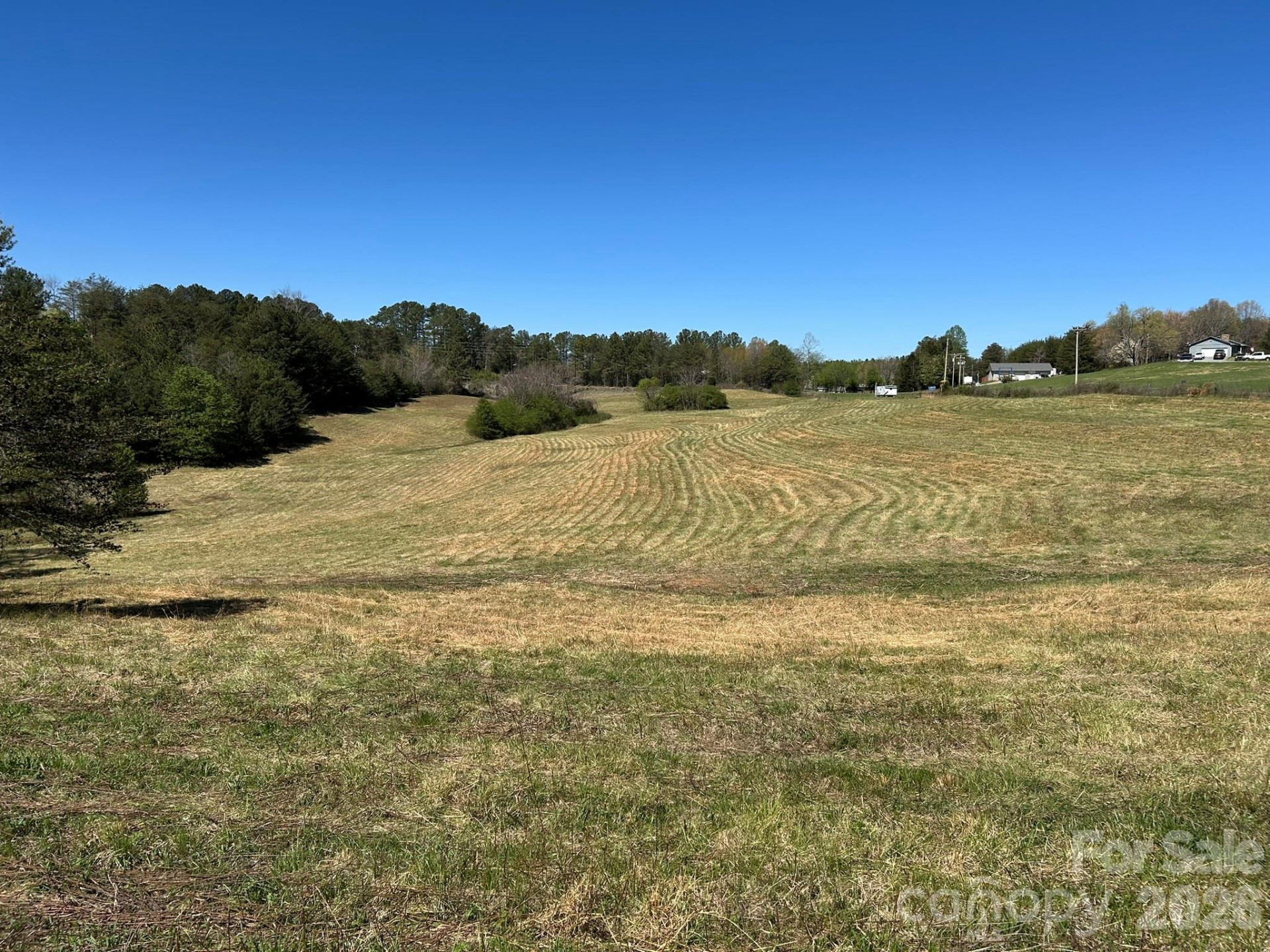 0 Pea Ridge Road - Photo 9