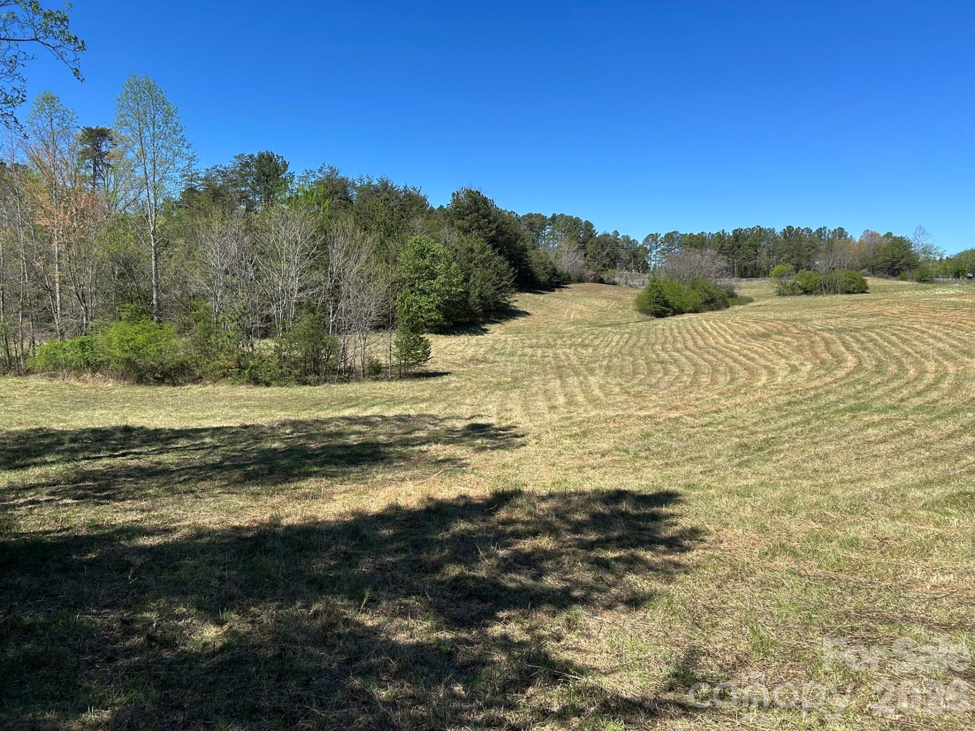 0 Pea Ridge Road - Photo 10
