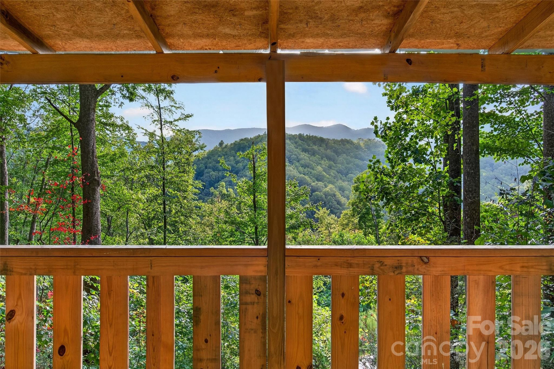 8032 Buck Creek Road - Photo 34