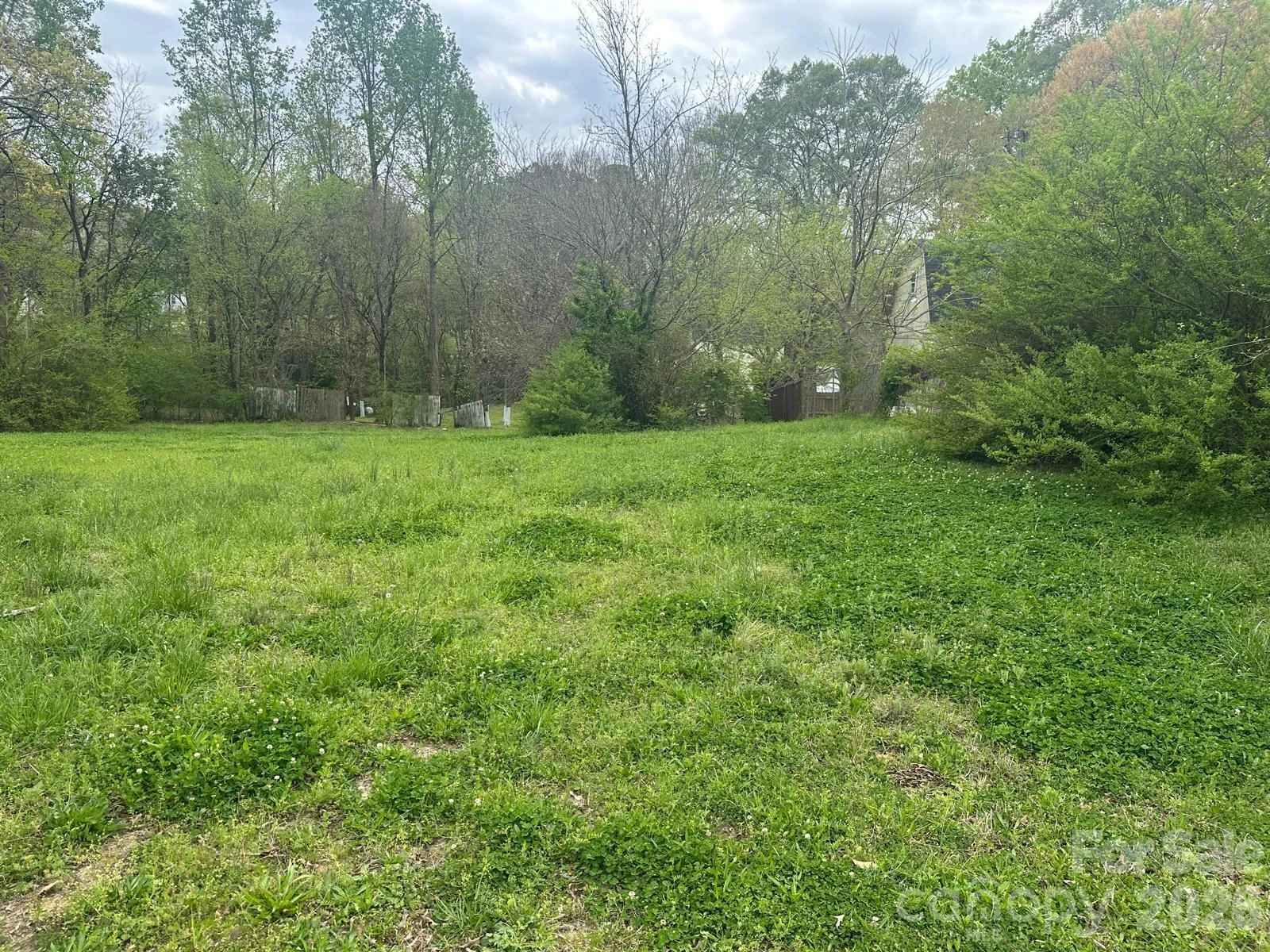 306 Louisiana Avenue - Photo 3