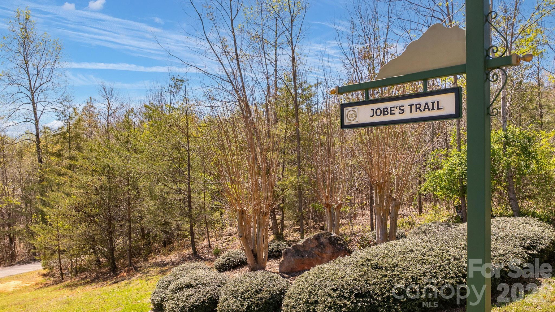 TBD Jobes Trail #29