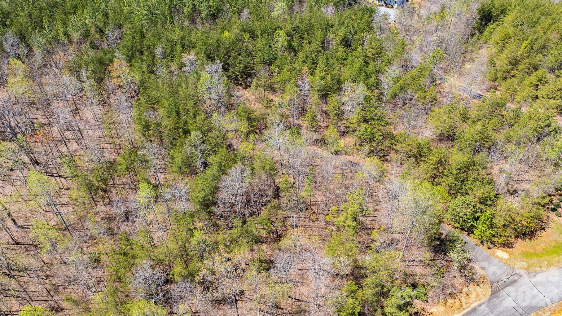 TBD Jobes Trail #29 - Photo 11