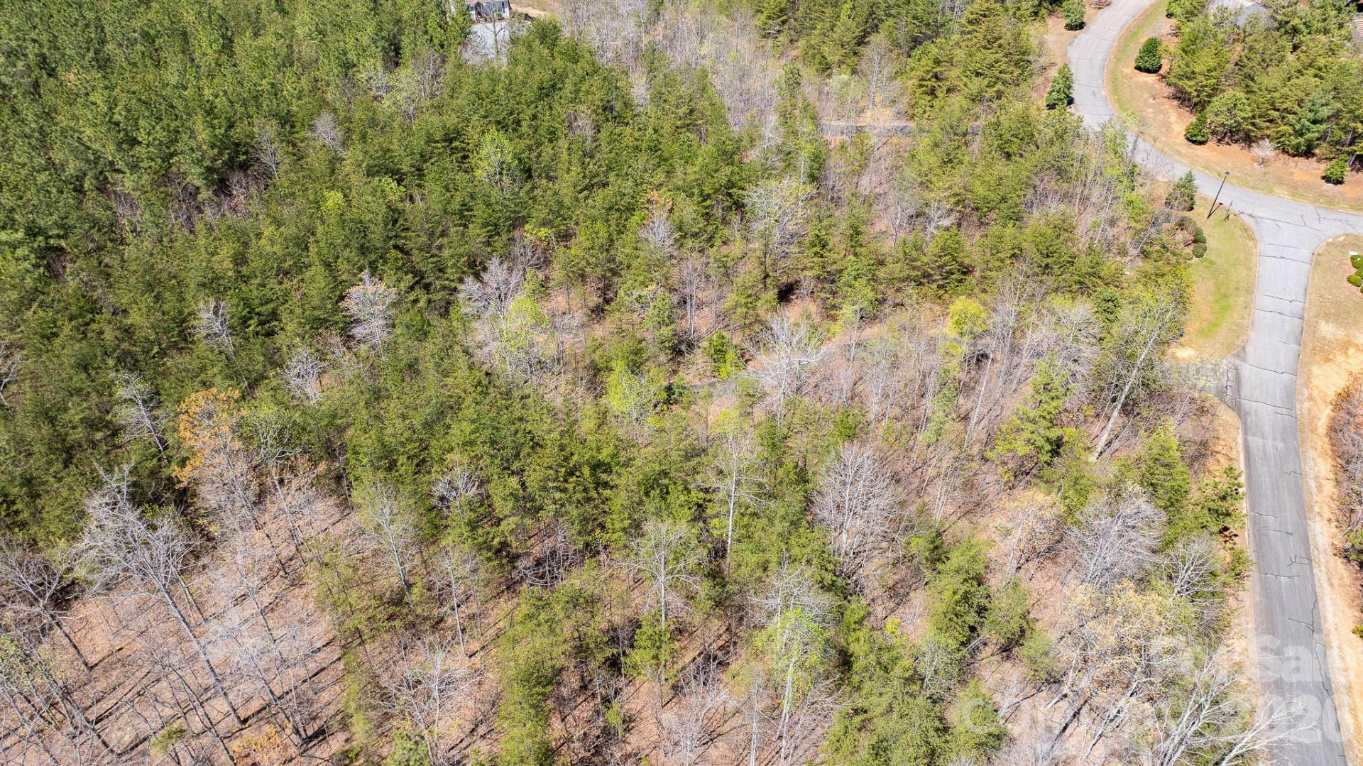 TBD Jobes Trail #29 - Photo 13