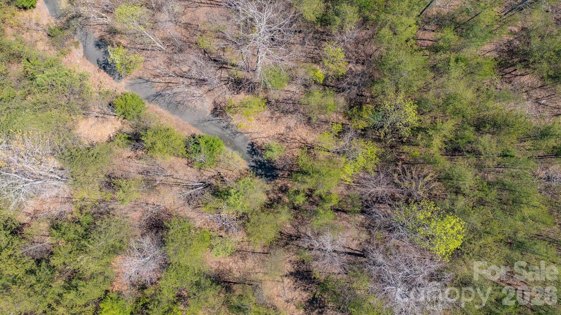 TBD Jobes Trail #29 - Photo 15