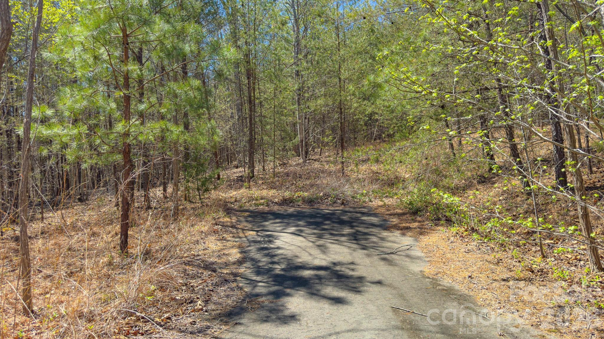 TBD Jobes Trail #29 - Photo 17