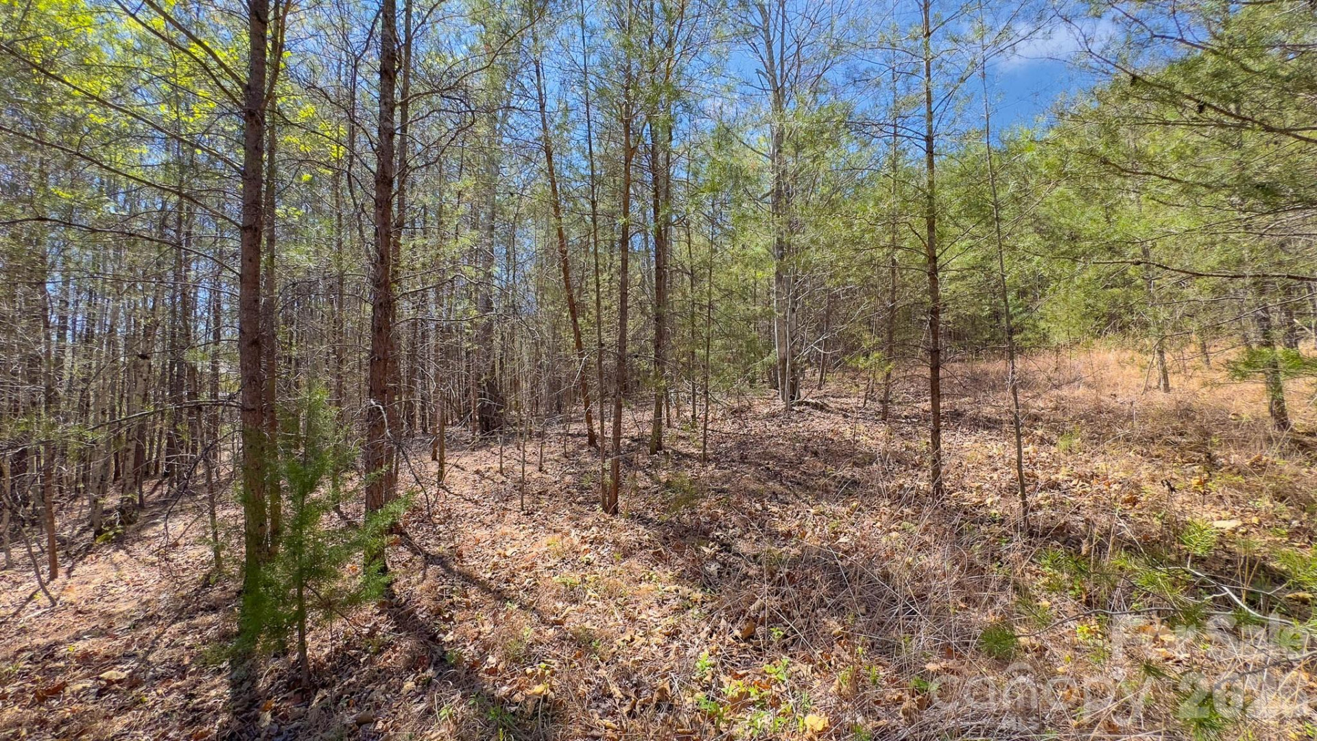 TBD Jobes Trail #29 - Photo 18