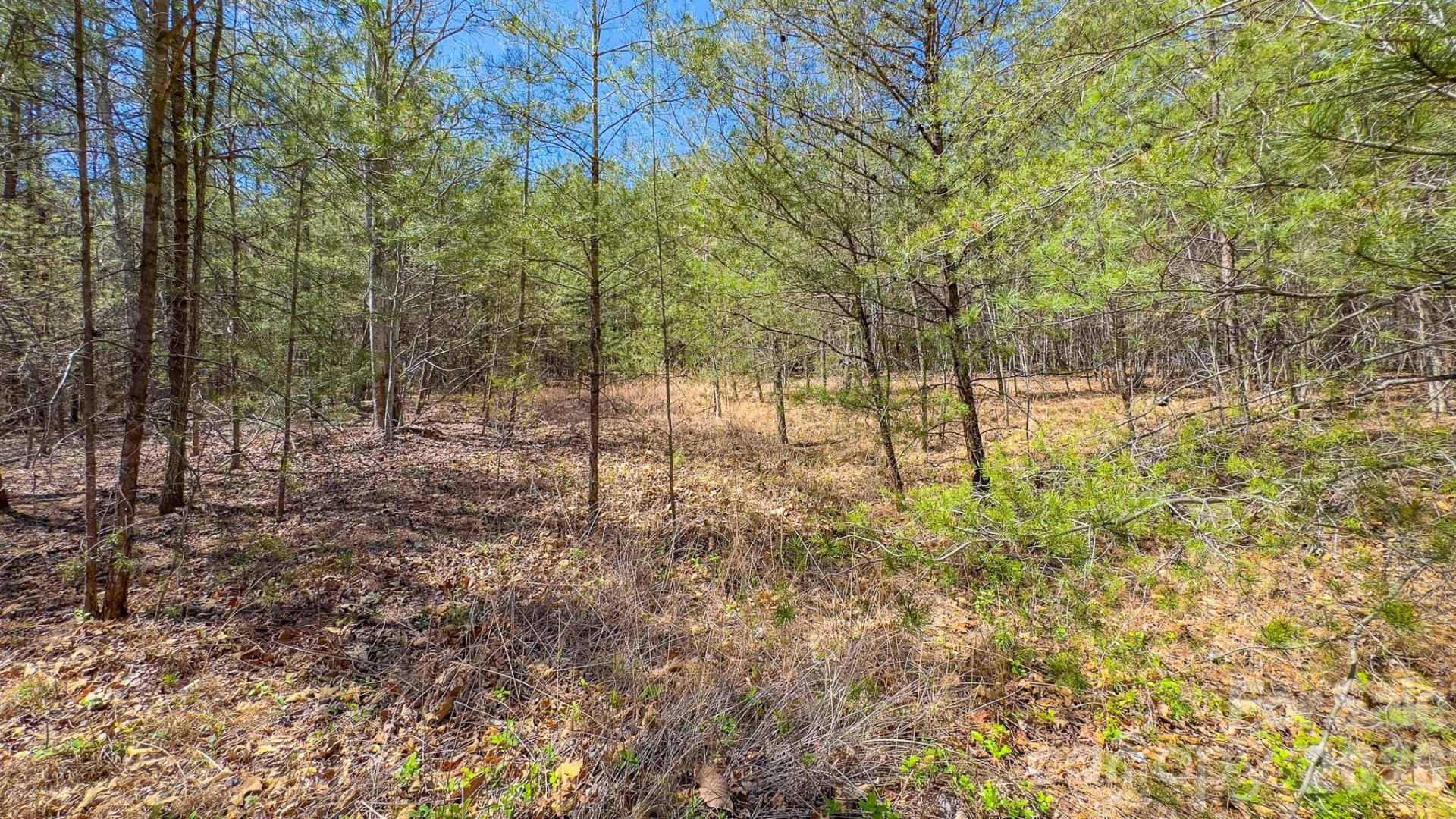 TBD Jobes Trail #29 - Photo 19