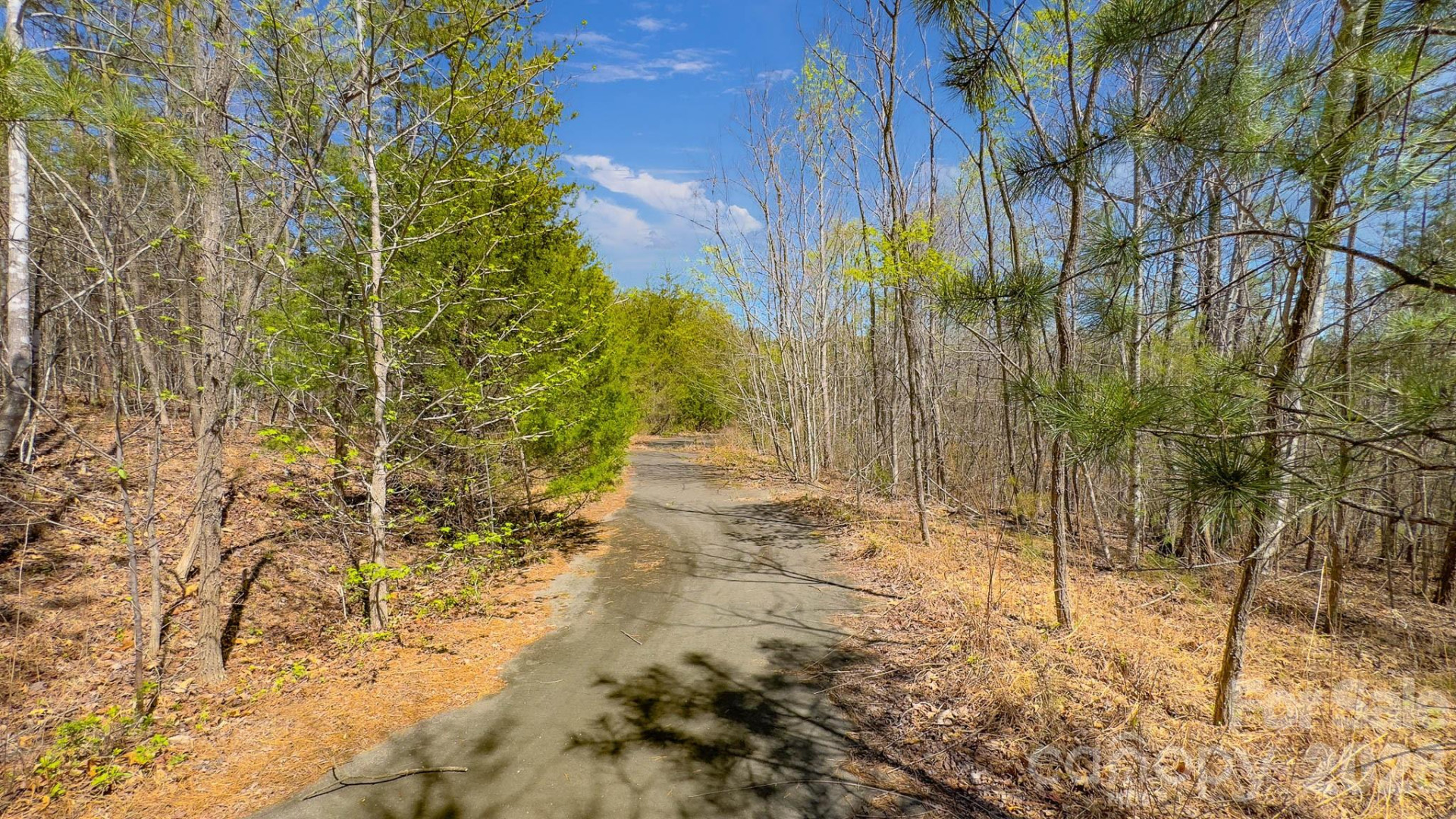 TBD Jobes Trail #29 - Photo 20