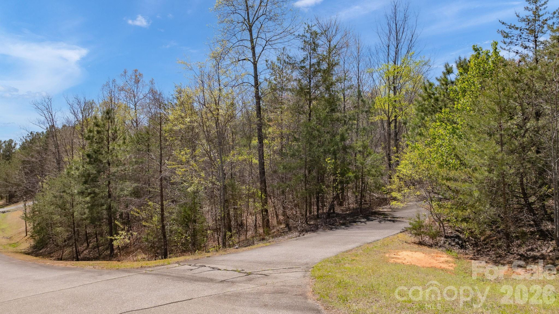 TBD Jobes Trail #29 - Photo 3