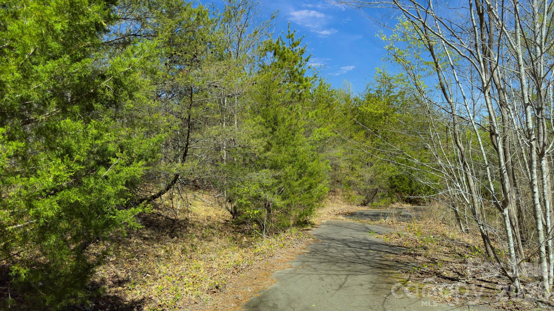 TBD Jobes Trail #29 - Photo 22