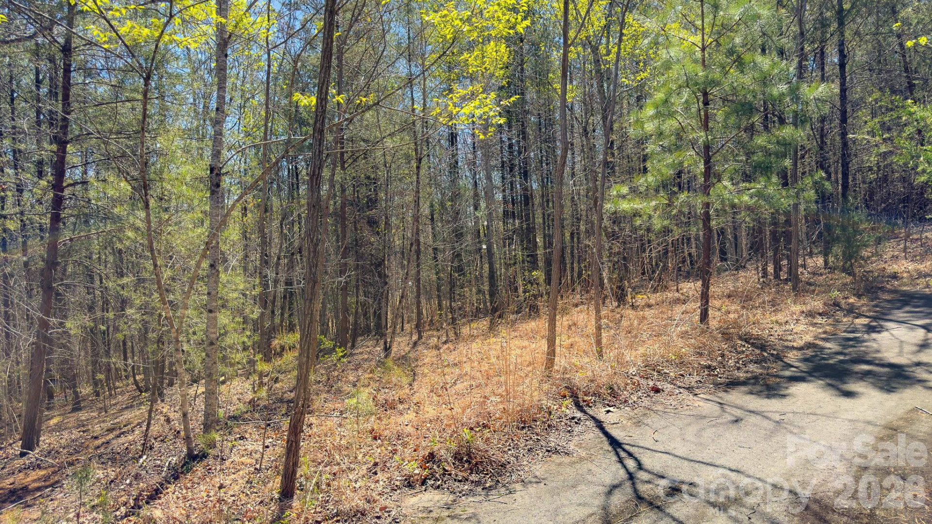 TBD Jobes Trail #29 - Photo 23