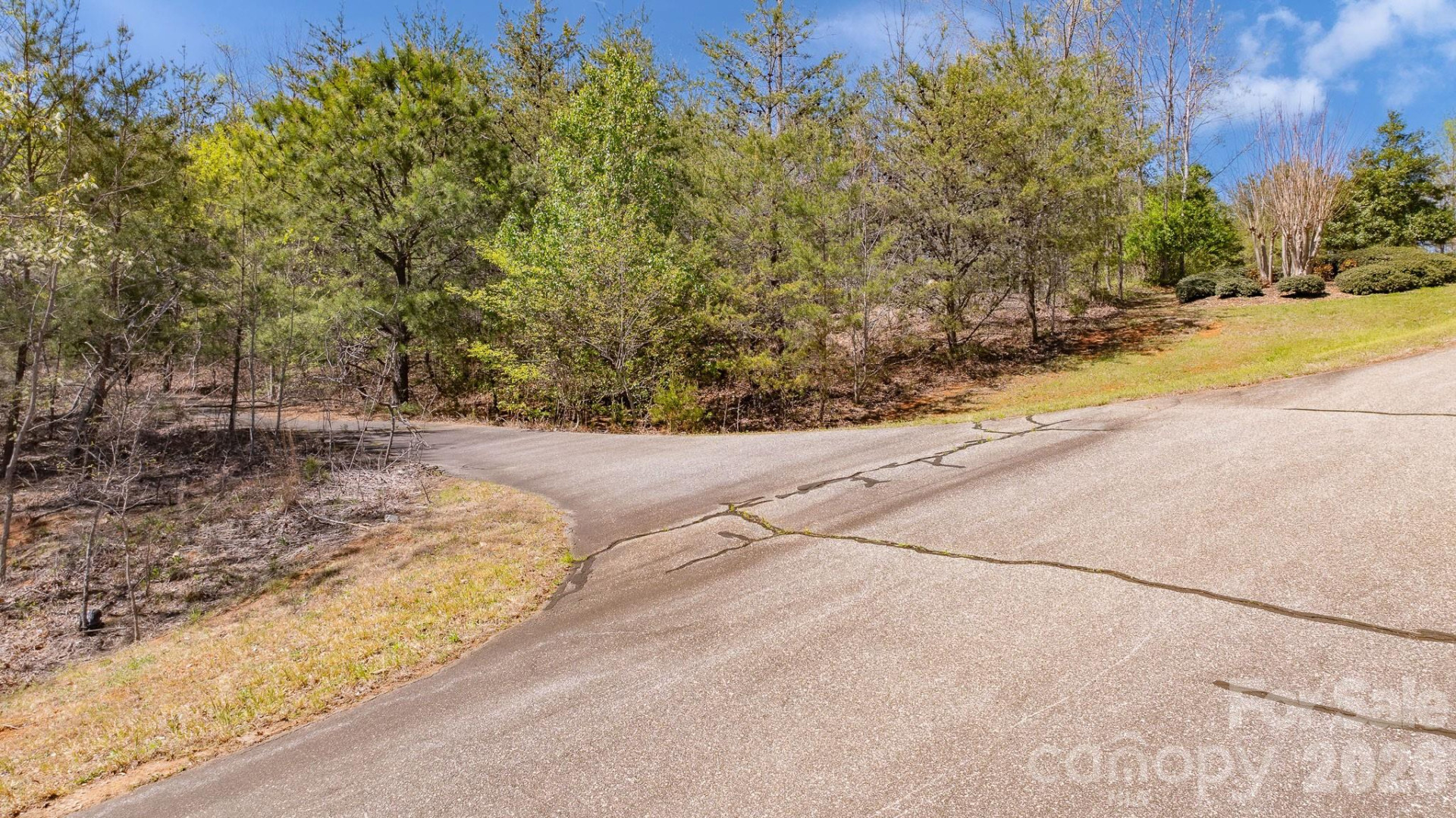 TBD Jobes Trail #29 - Photo 4