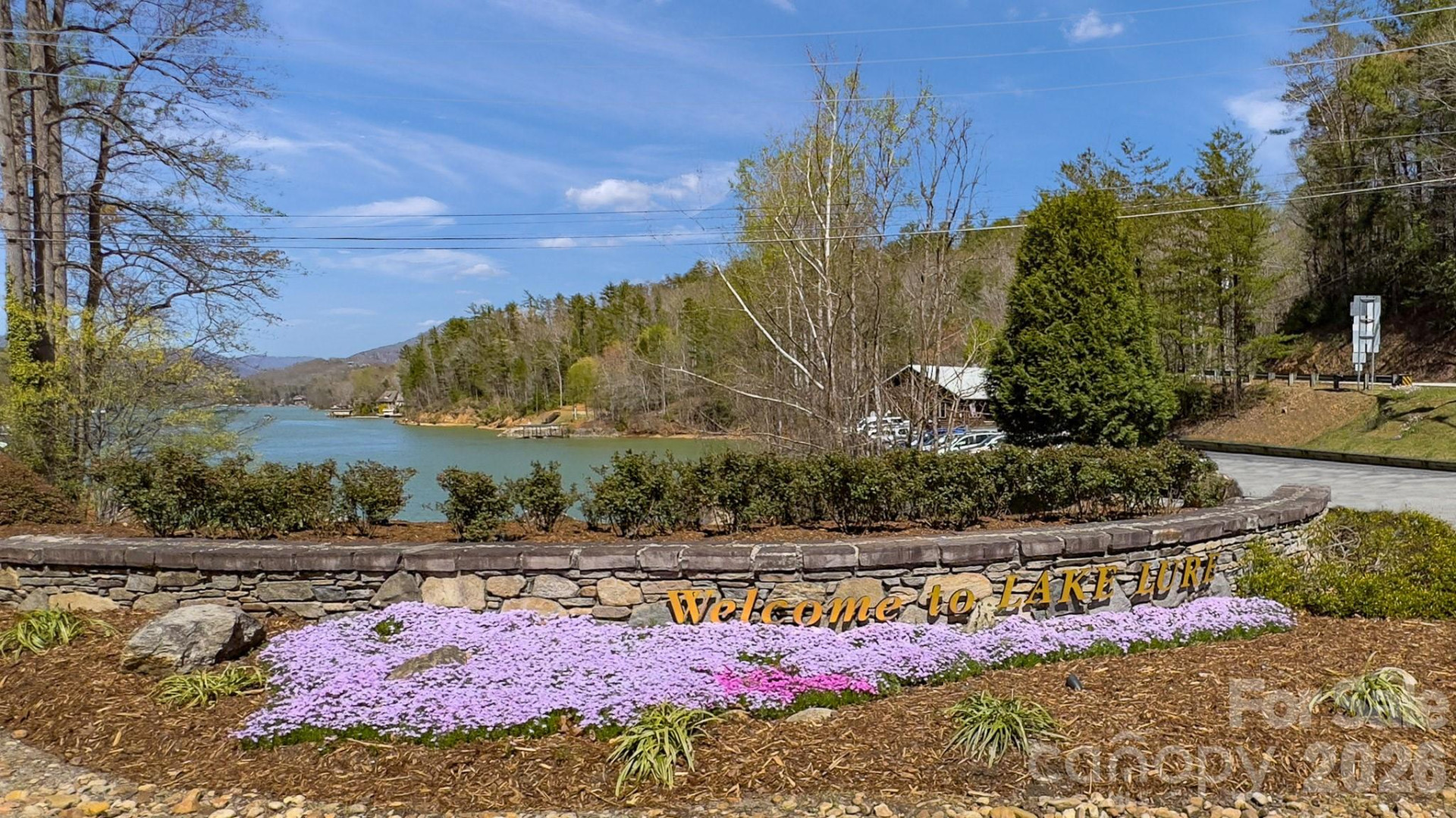 TBD Jobes Trail #29 - Photo 38