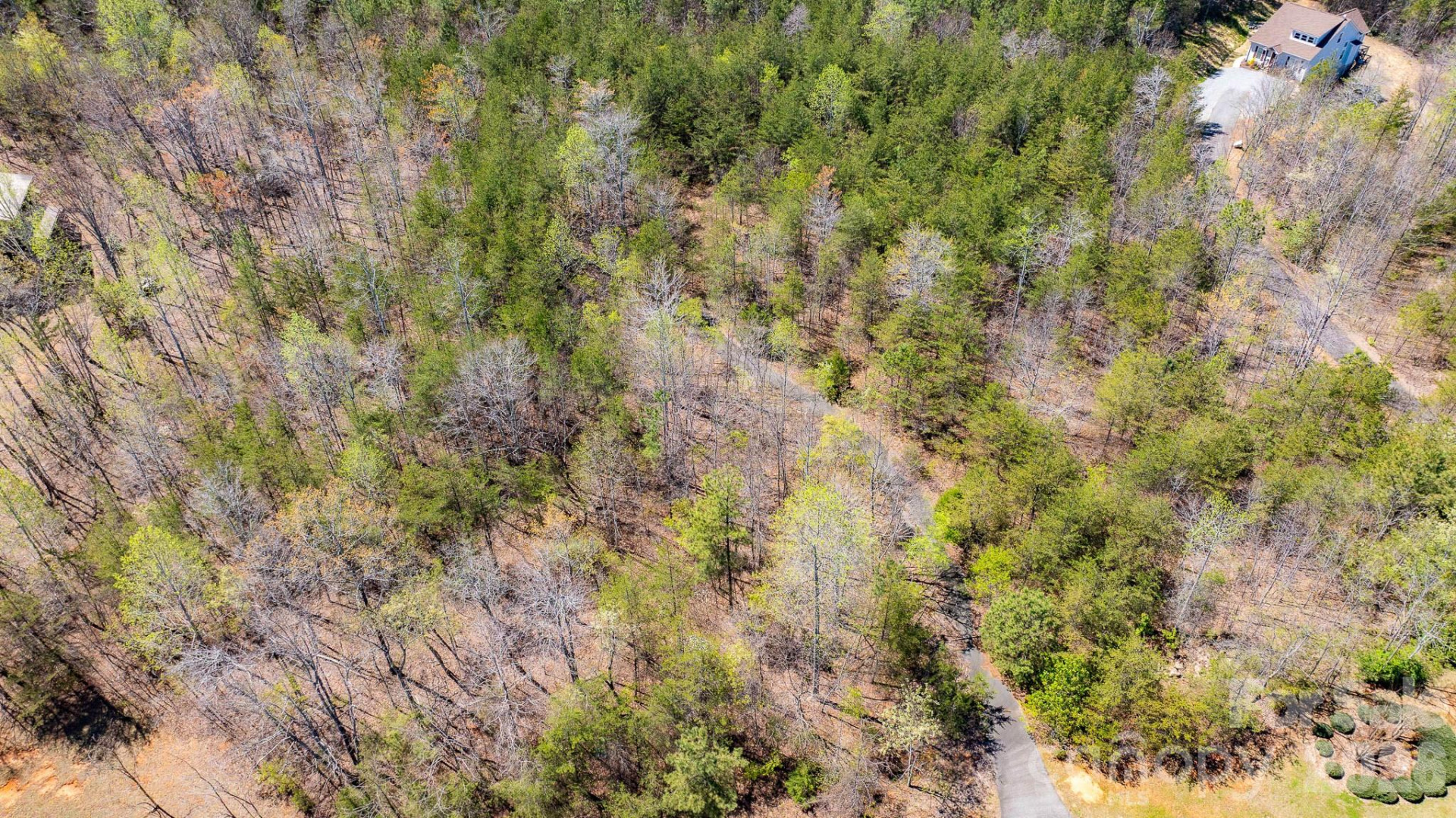 TBD Jobes Trail #29 - Photo 7