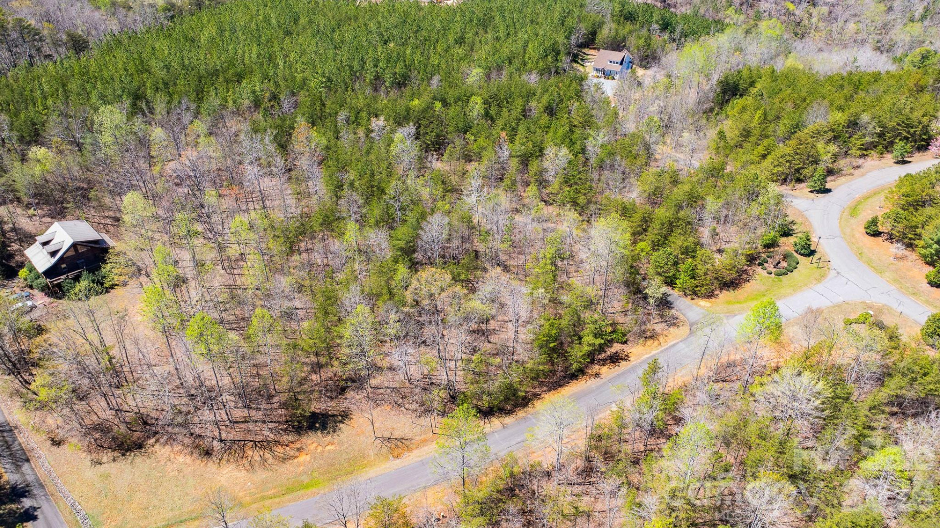 TBD Jobes Trail #29 - Photo 9