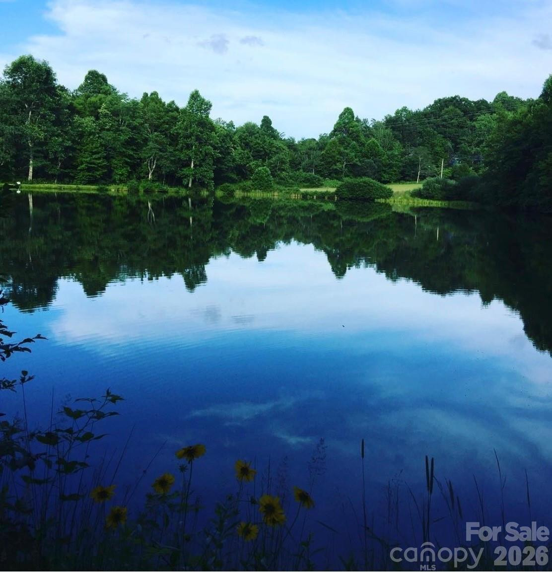 1359 Chestnut Grove Road - Photo 13