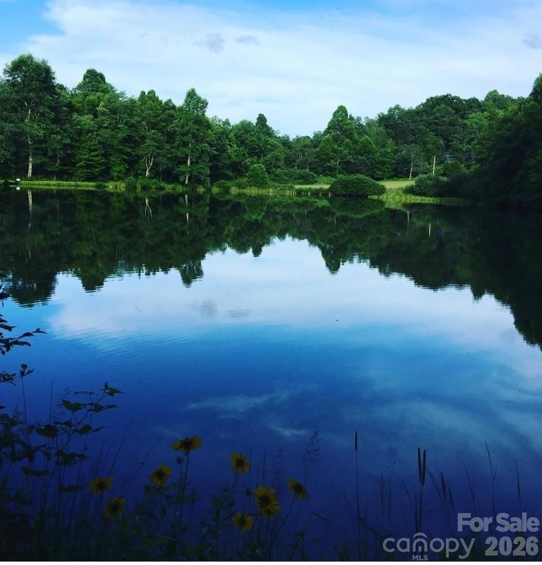 1359 Chestnut Grove Road - Photo 13