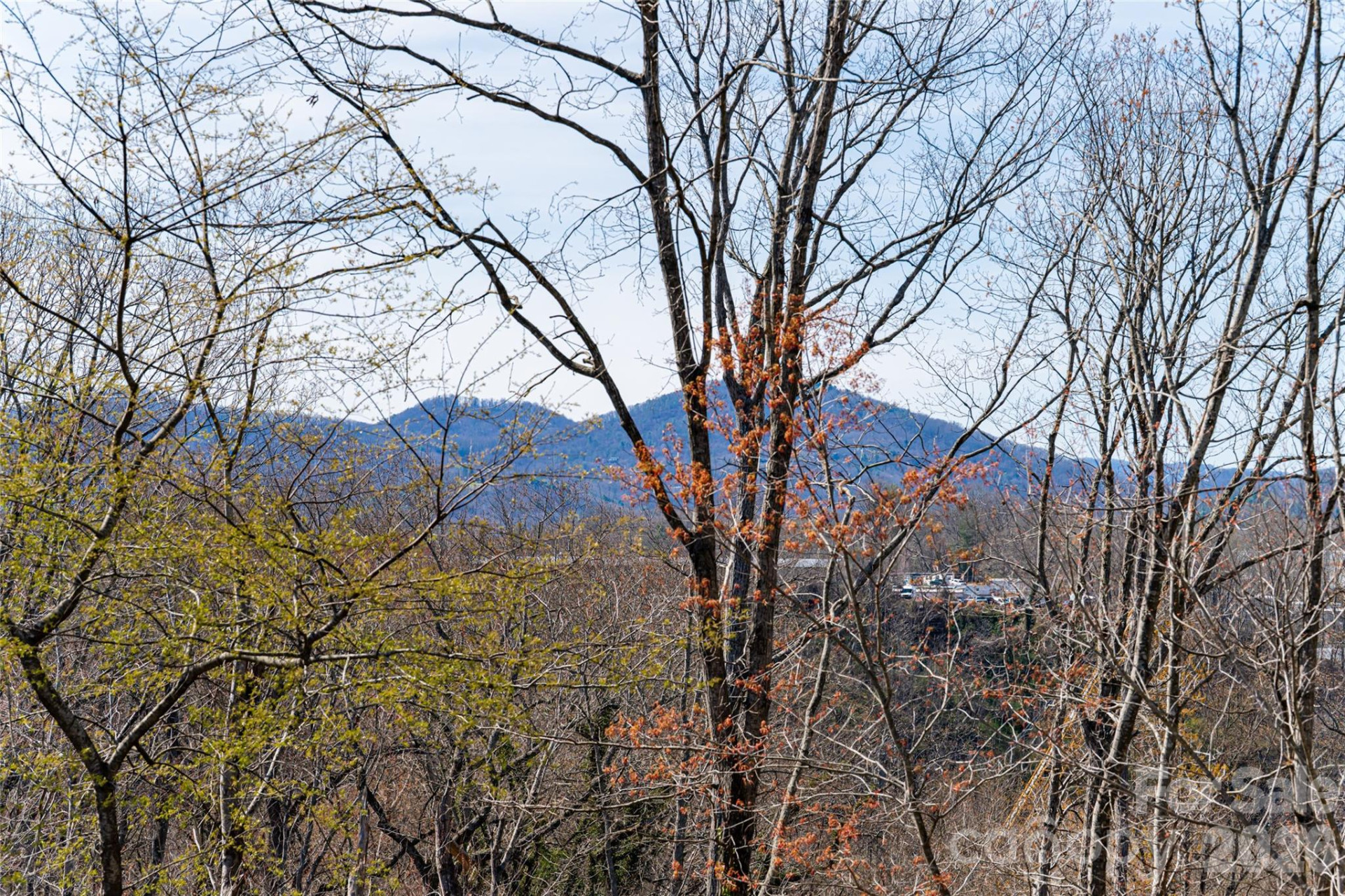 178 Courtland Place - Photo 35