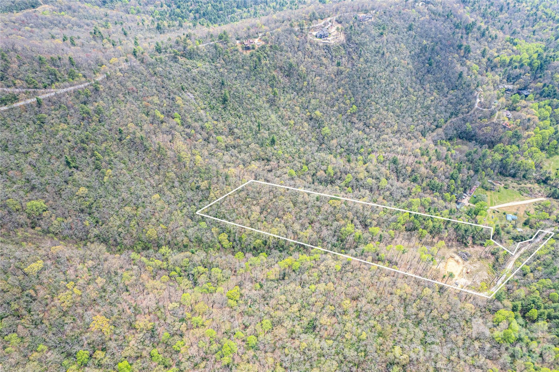 000 Rosman Highway - Photo 11