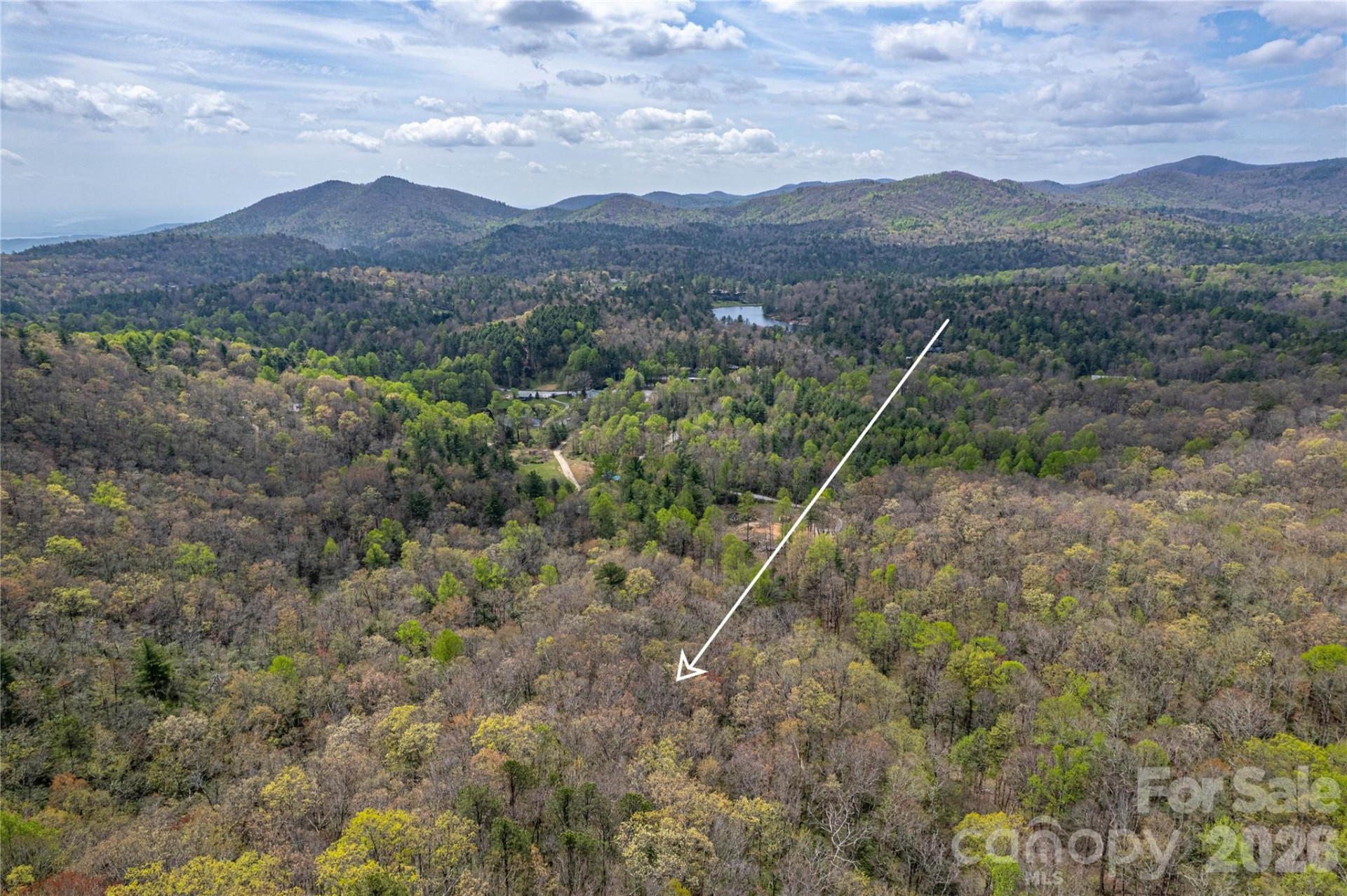 000 Rosman Highway - Photo 15