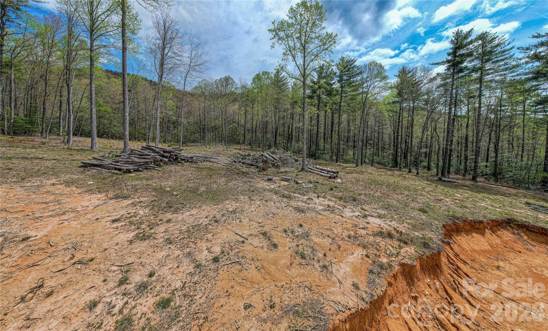 000 Rosman Highway - Photo 16