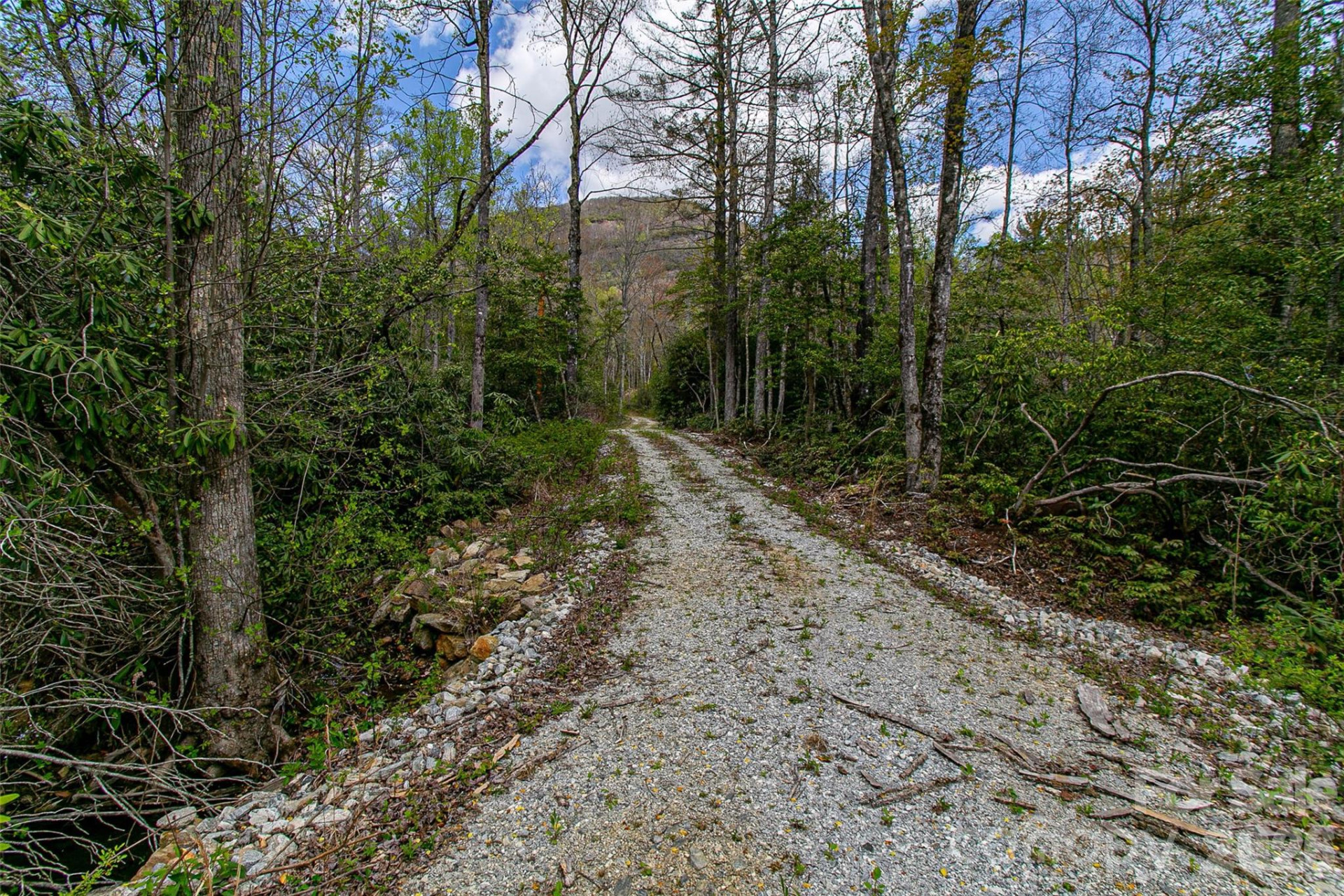 000 Rosman Highway - Photo 19