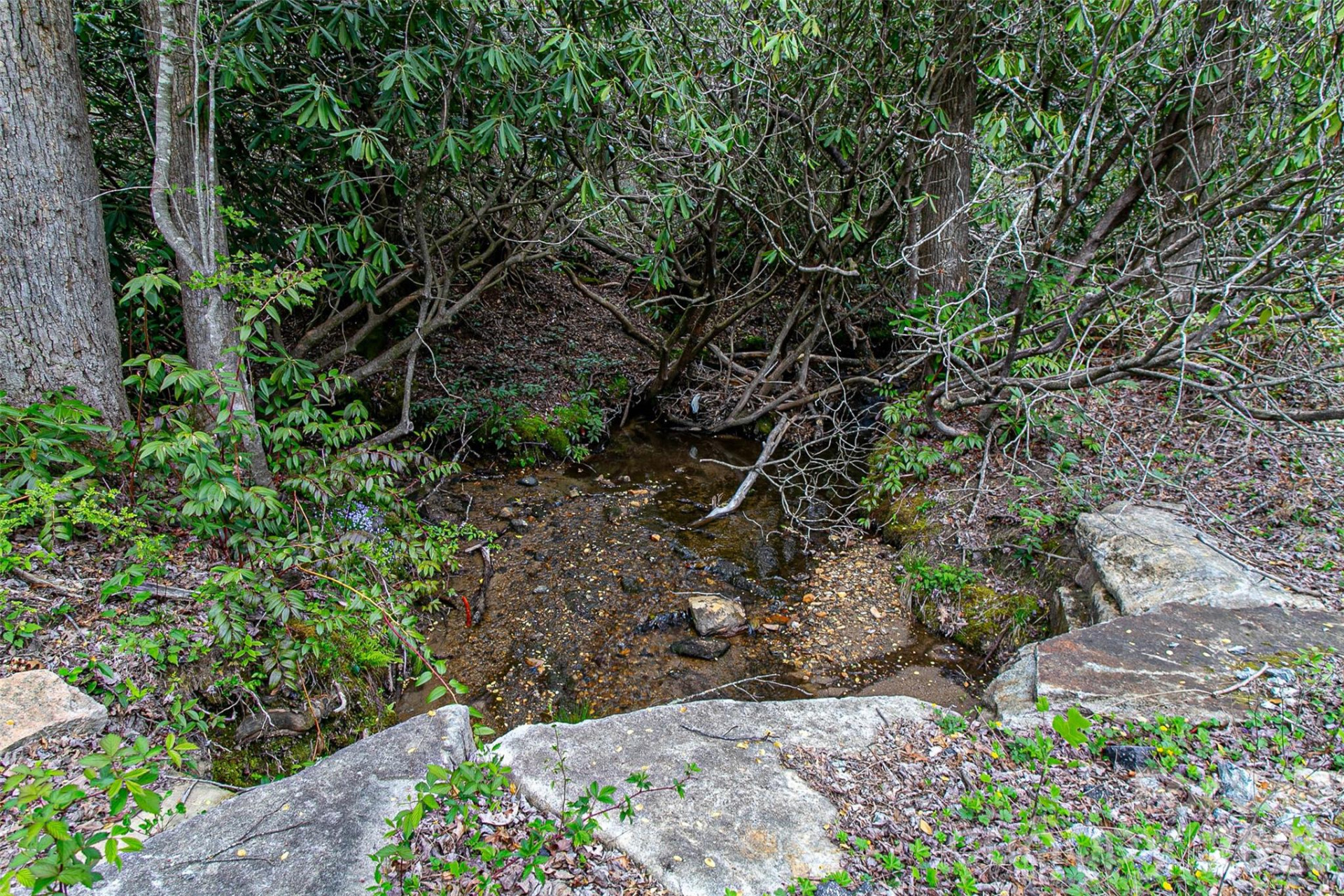 000 Rosman Highway - Photo 20