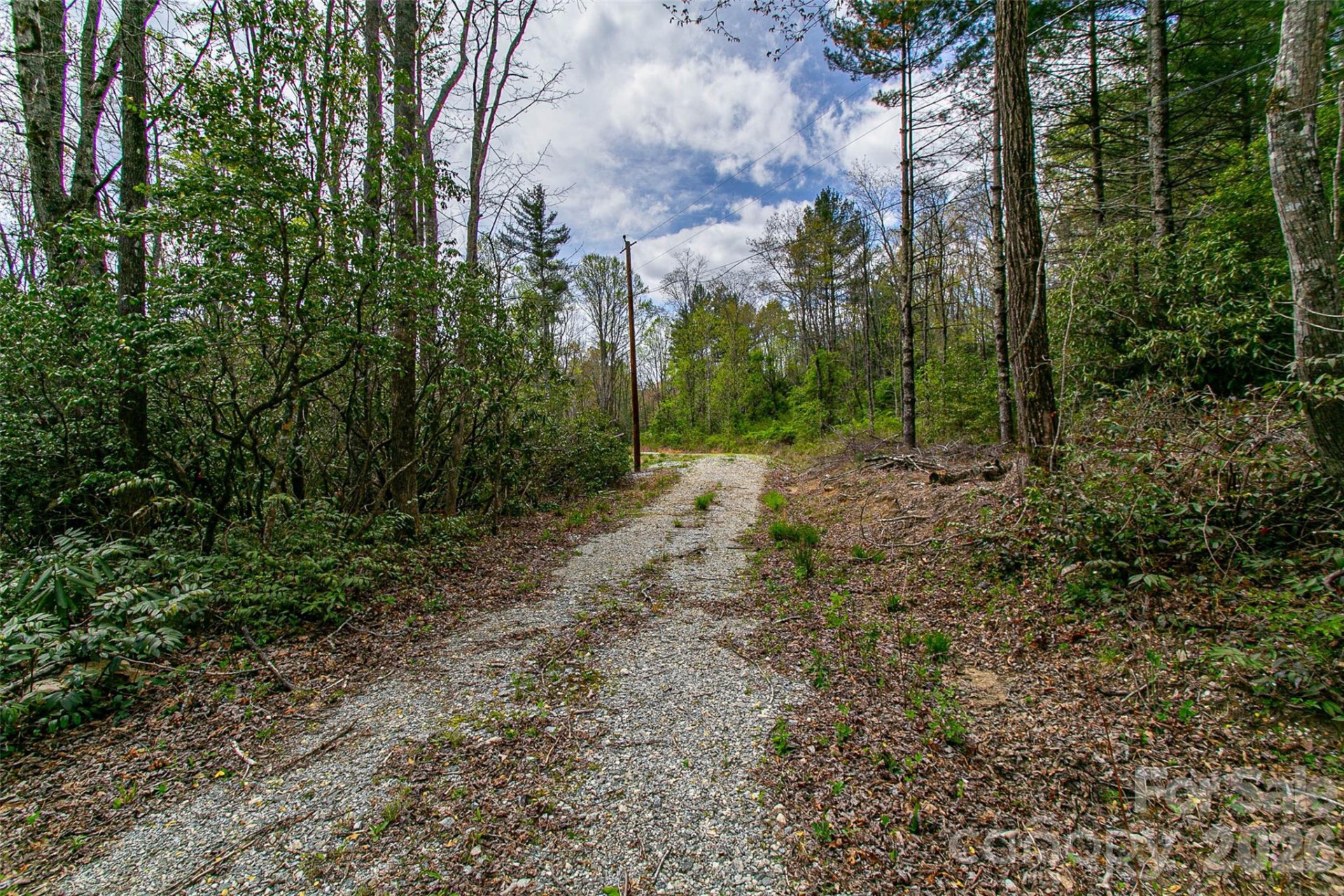 000 Rosman Highway - Photo 21
