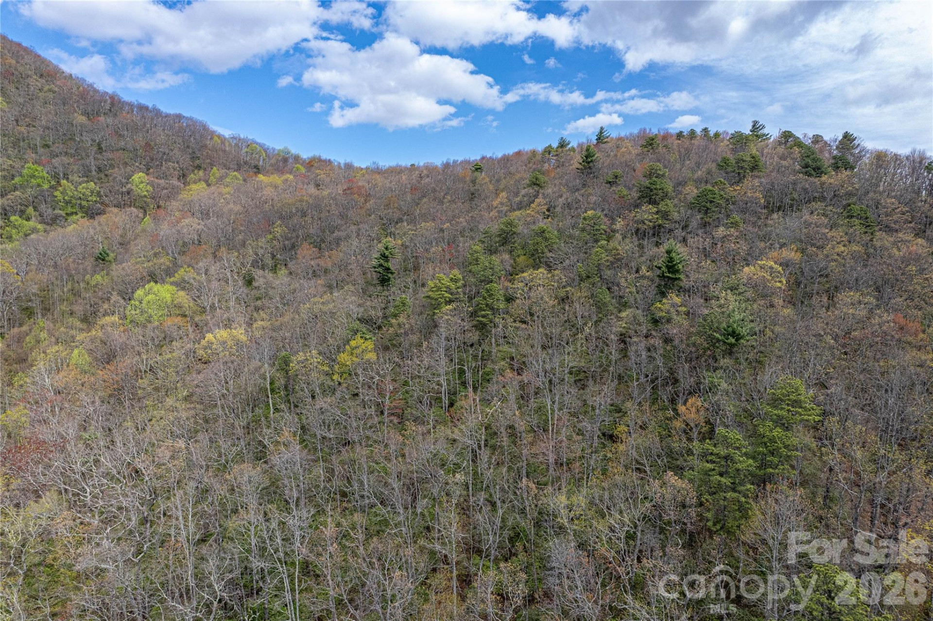 000 Rosman Highway - Photo 6