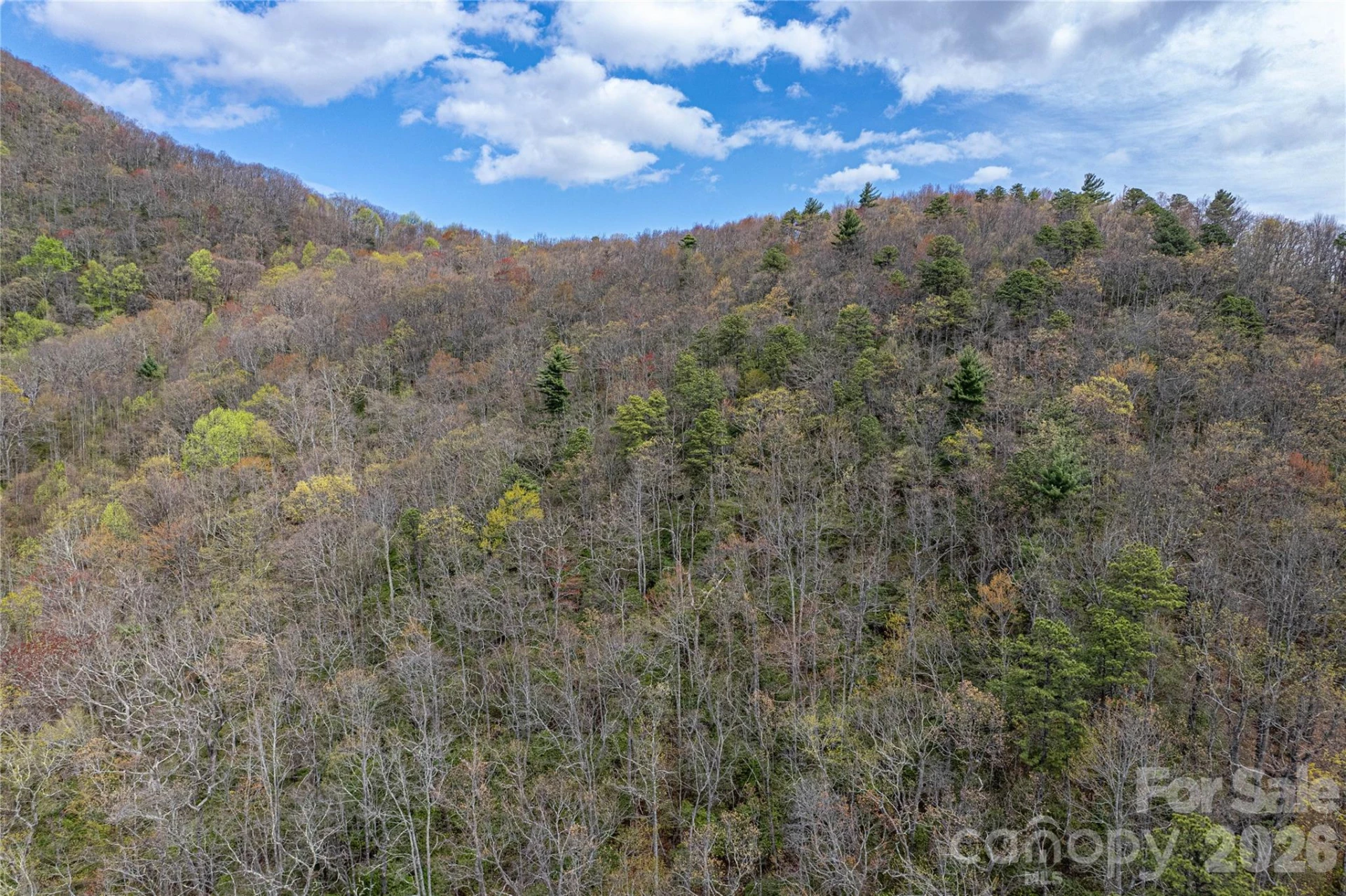 000 Rosman Highway - Photo 6