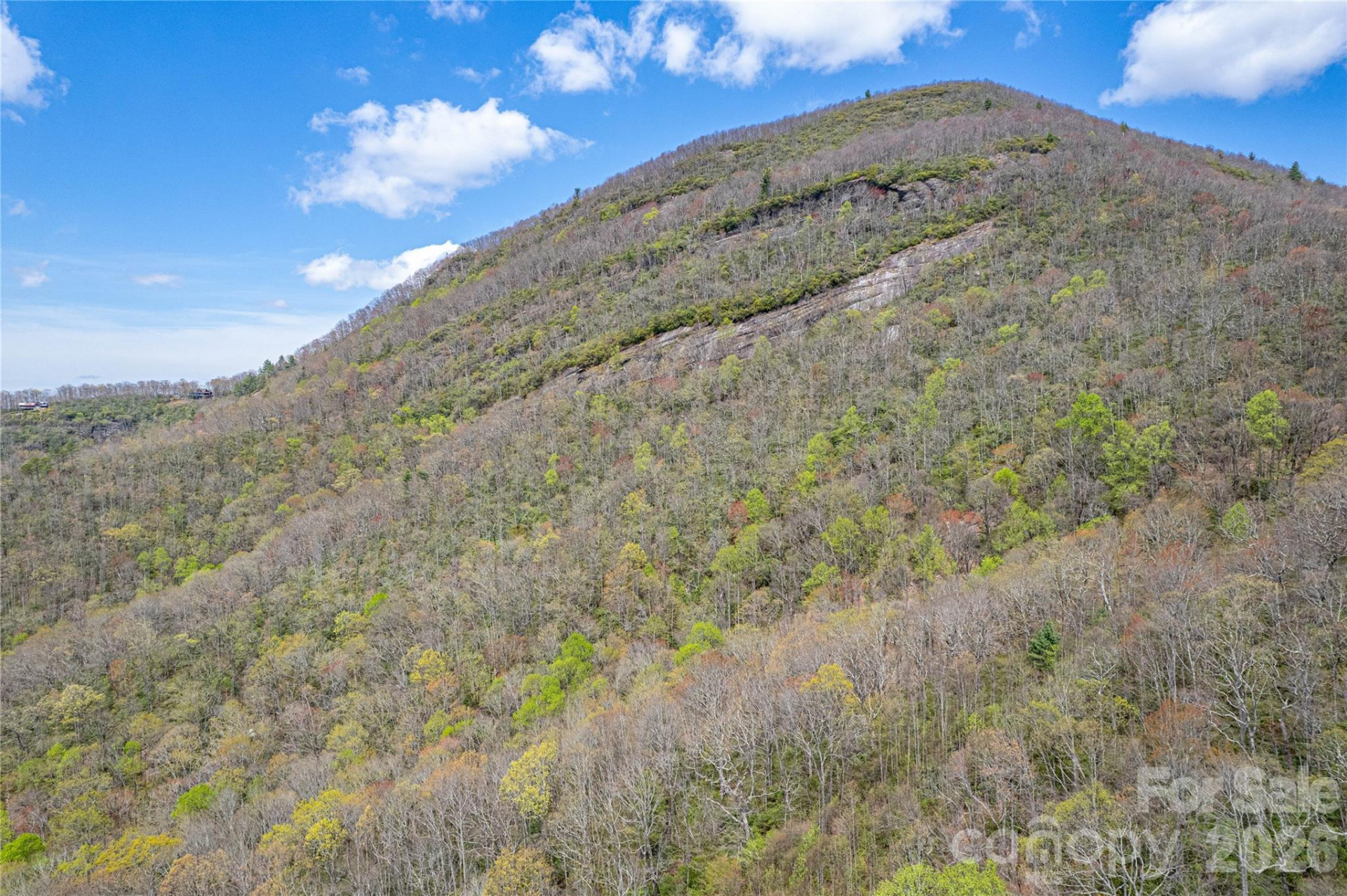 000 Rosman Highway - Photo 7